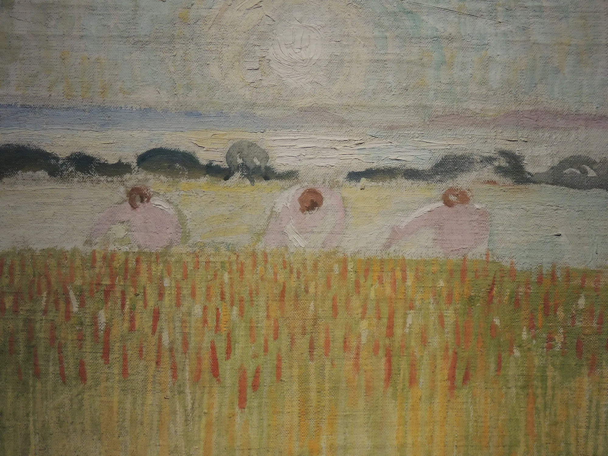 Soleil blanc sur les blés