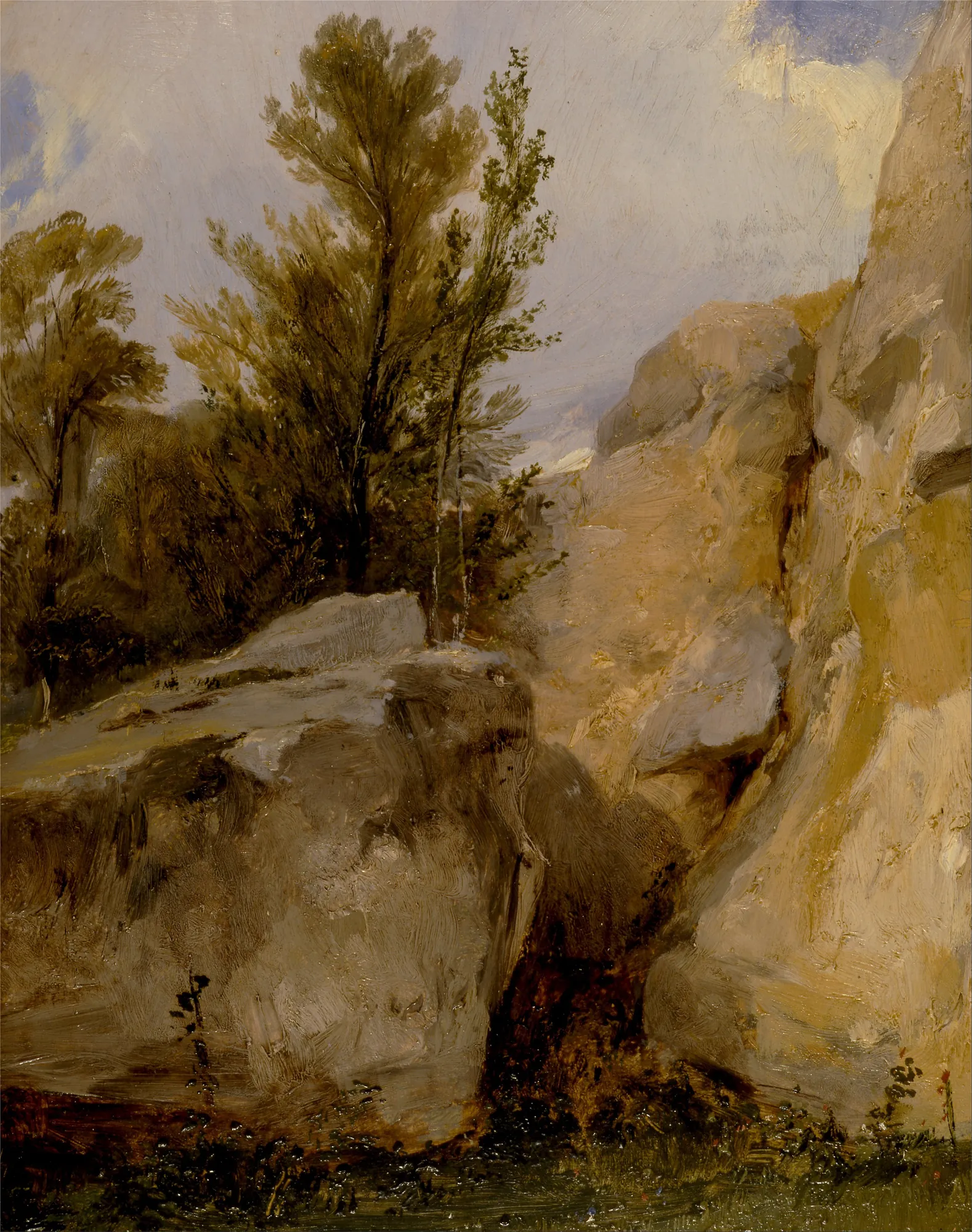 In the Forest at Fontainebleau
