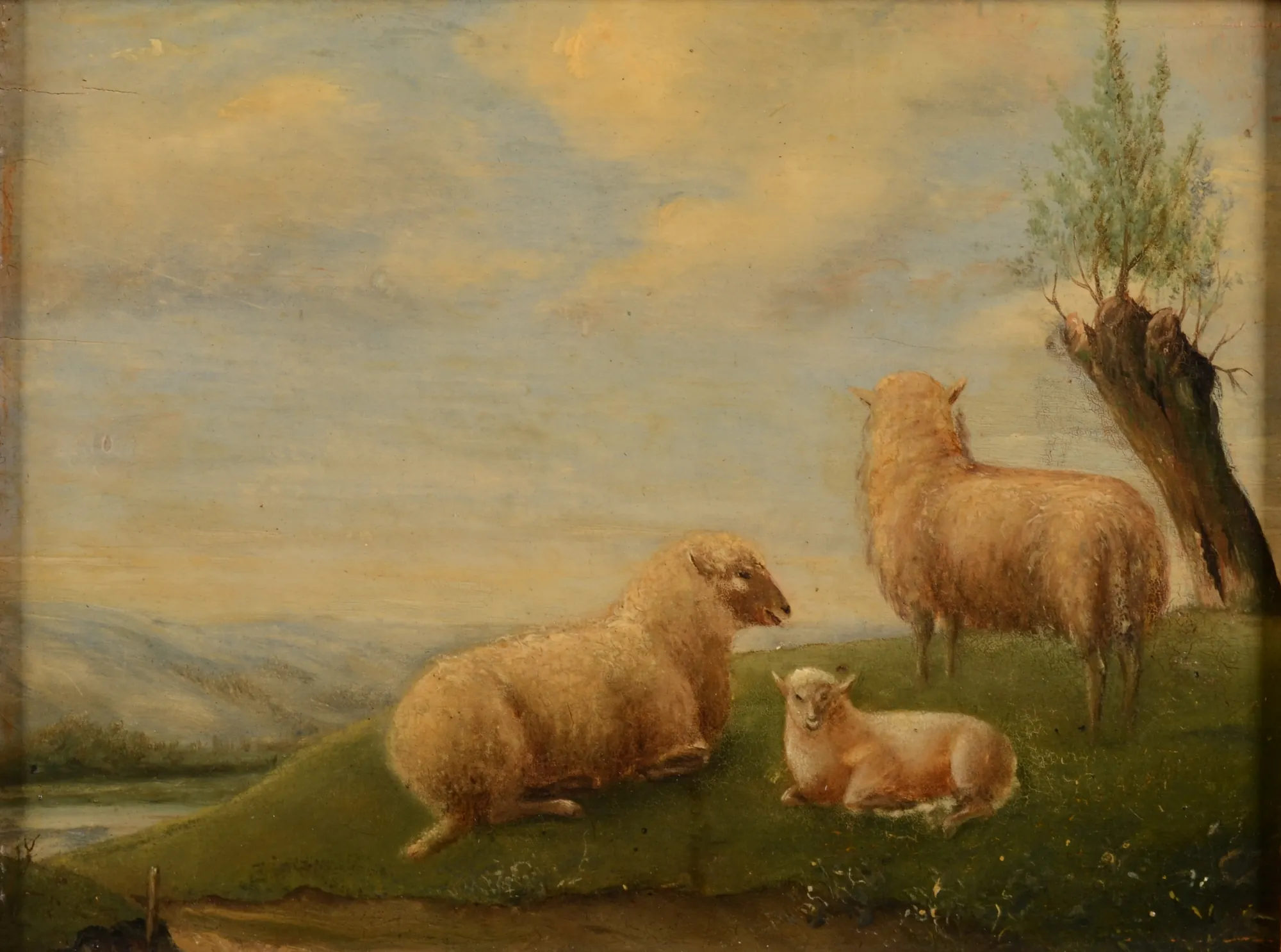 Landscape with Sheep