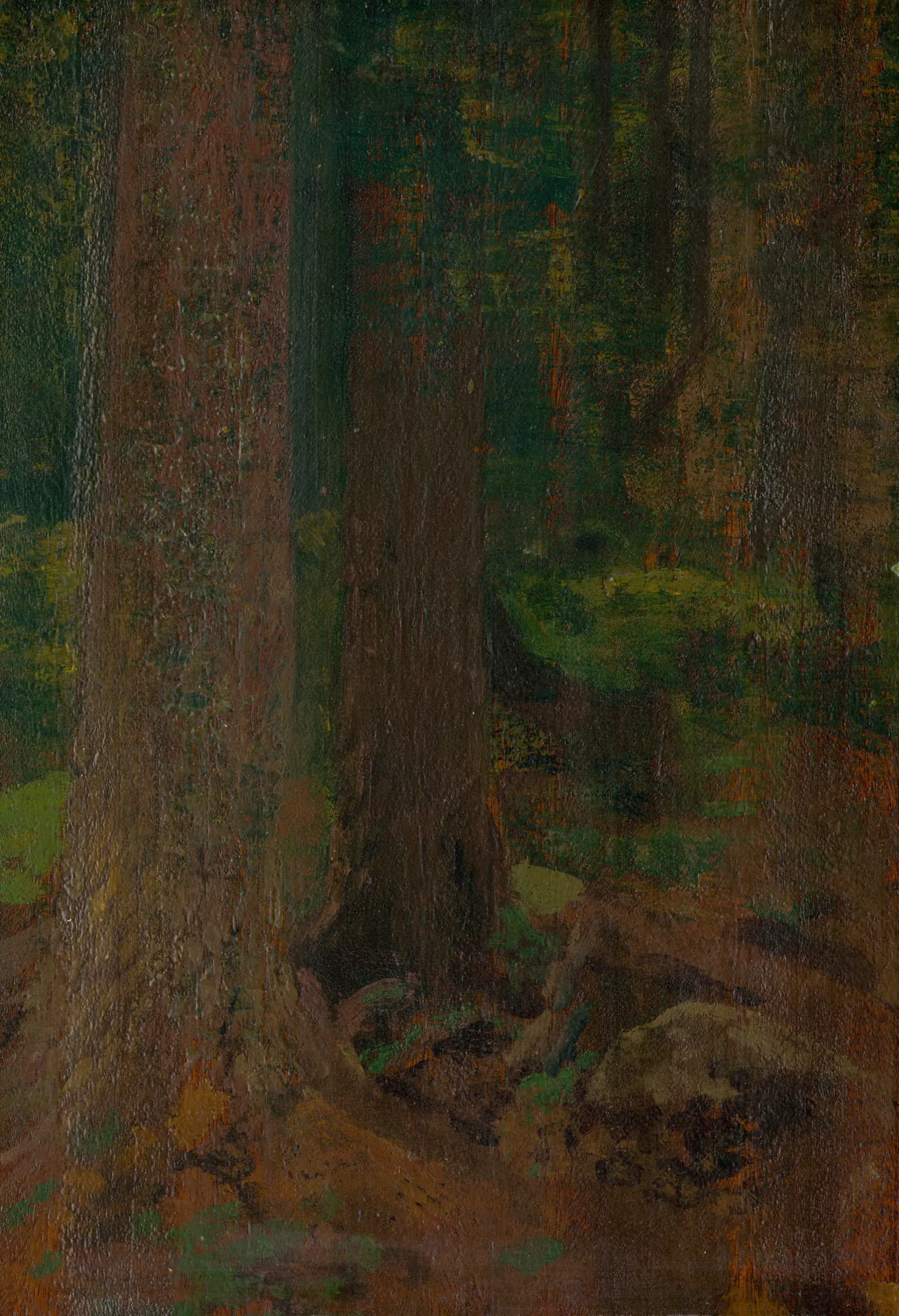 Study of a Forest