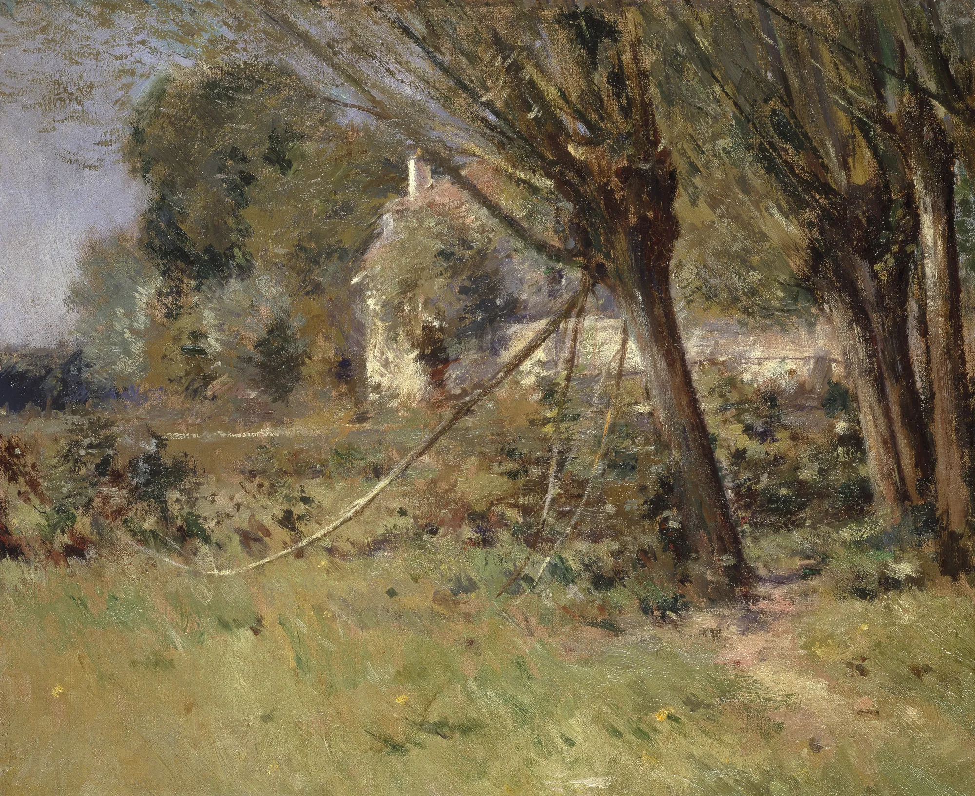 Willows