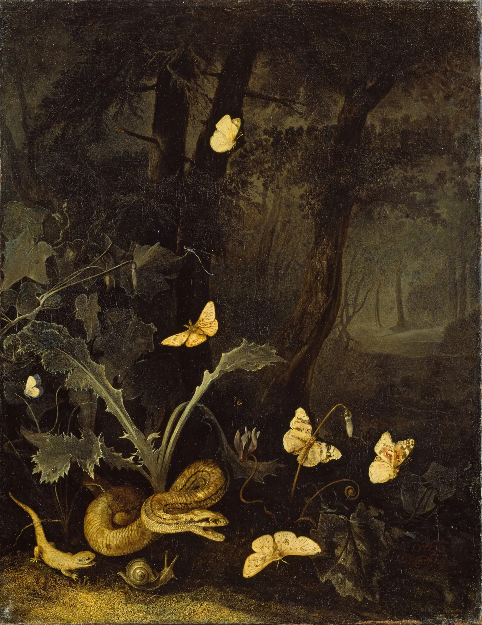 Forest Floor Still Life with Grass Snake and Lizard