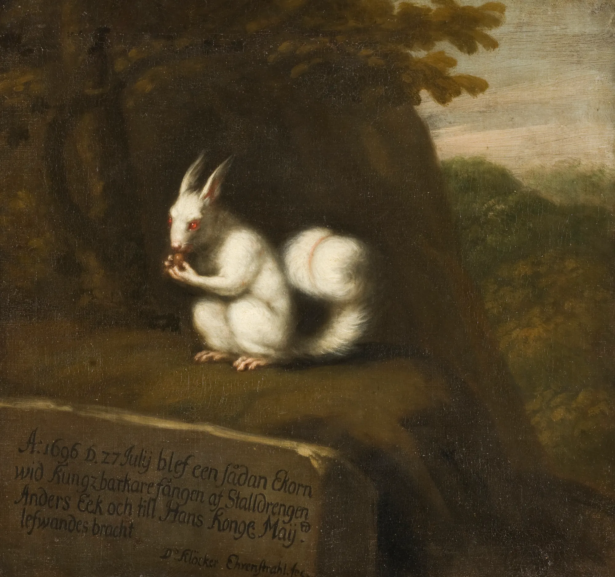 White Squirrel in a Landscape