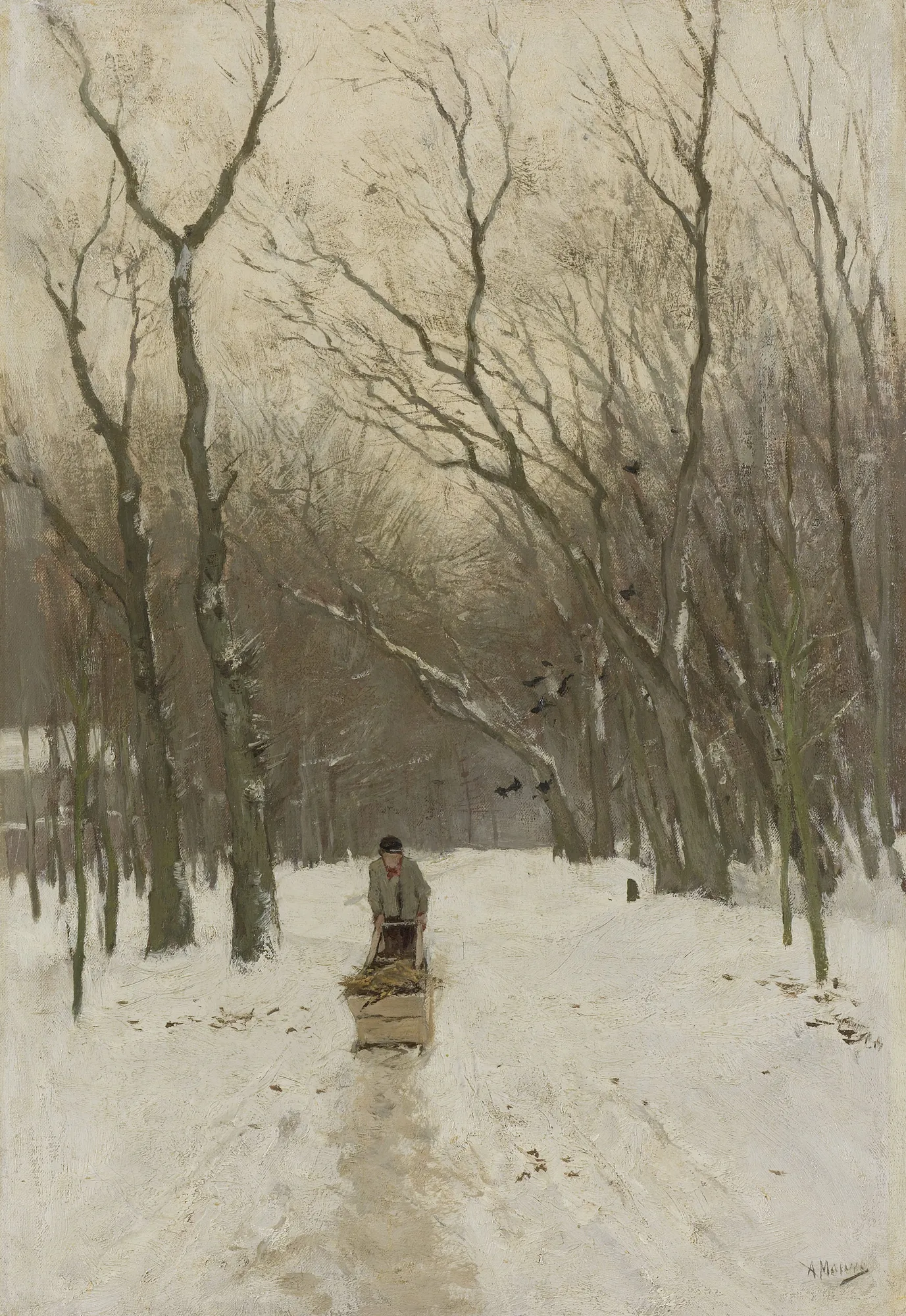 Winter in the Scheveningen Woods