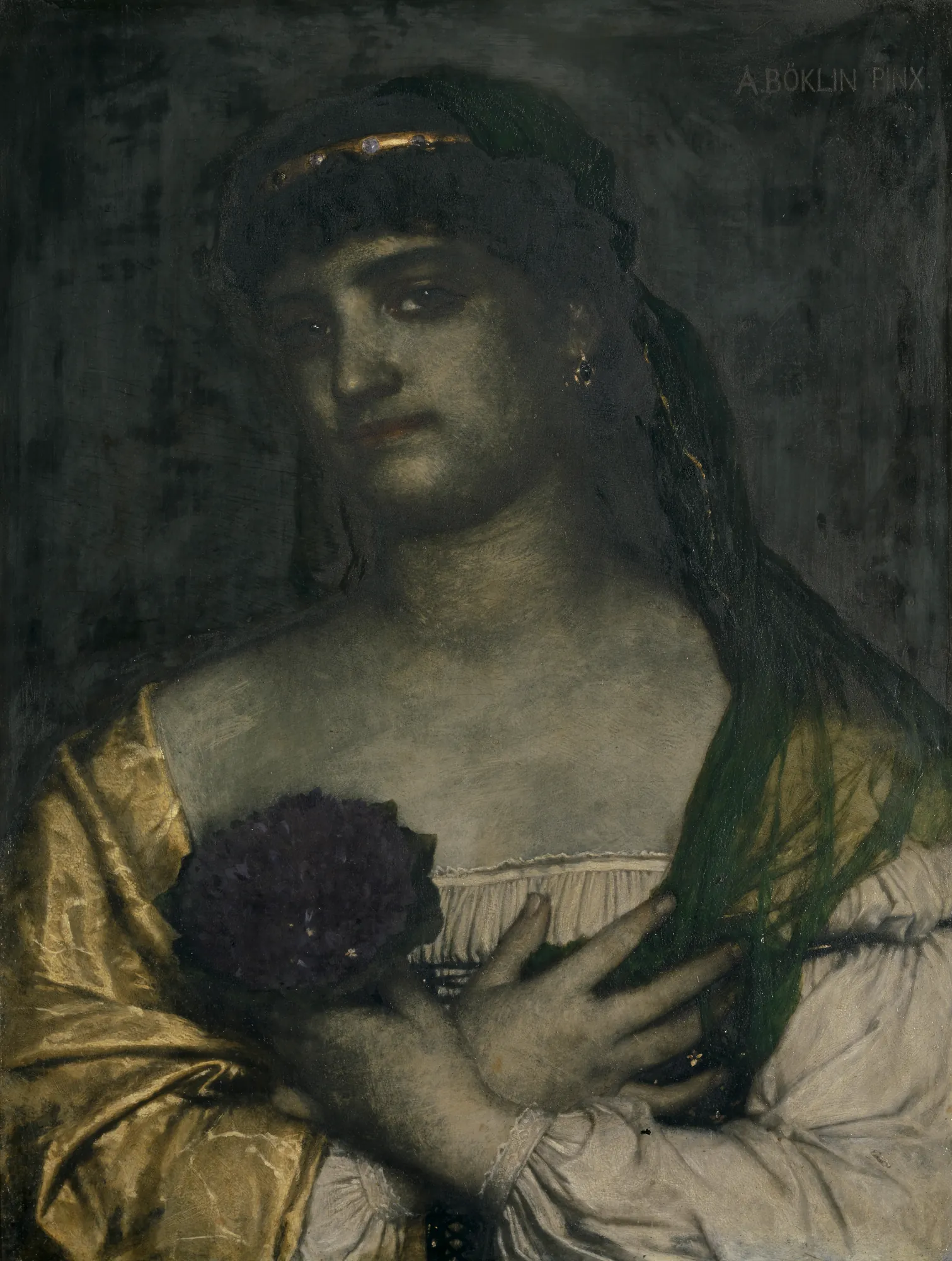 Viola