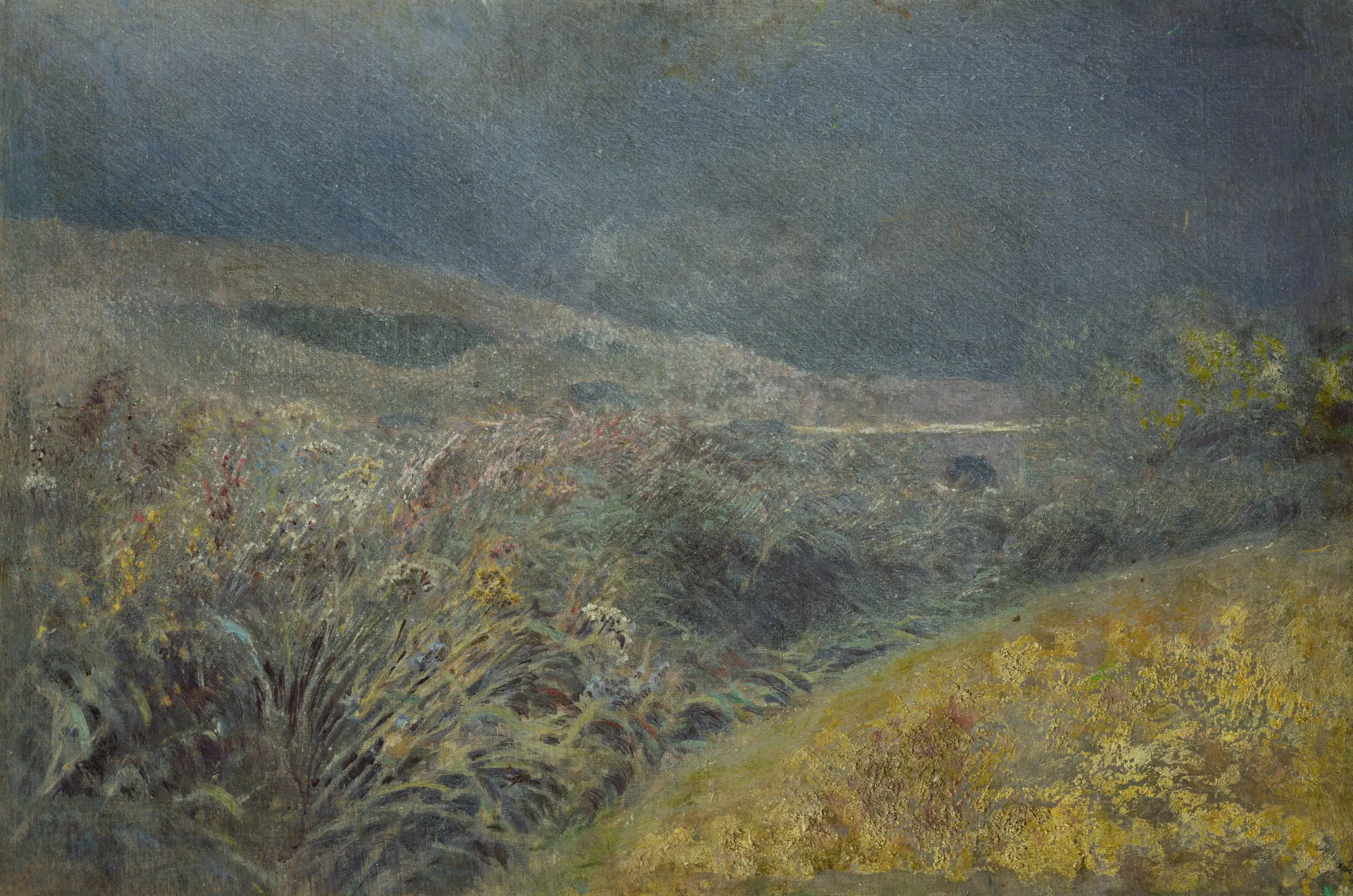 Motif from the Belianske Tatras