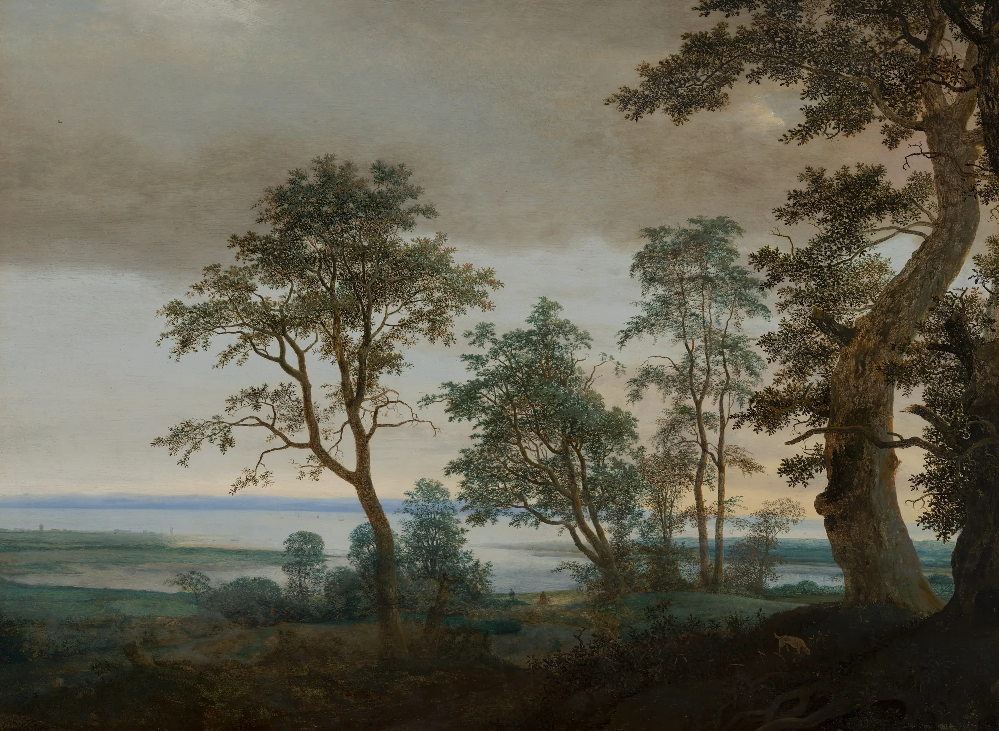 River Landscape Seen Through Trees