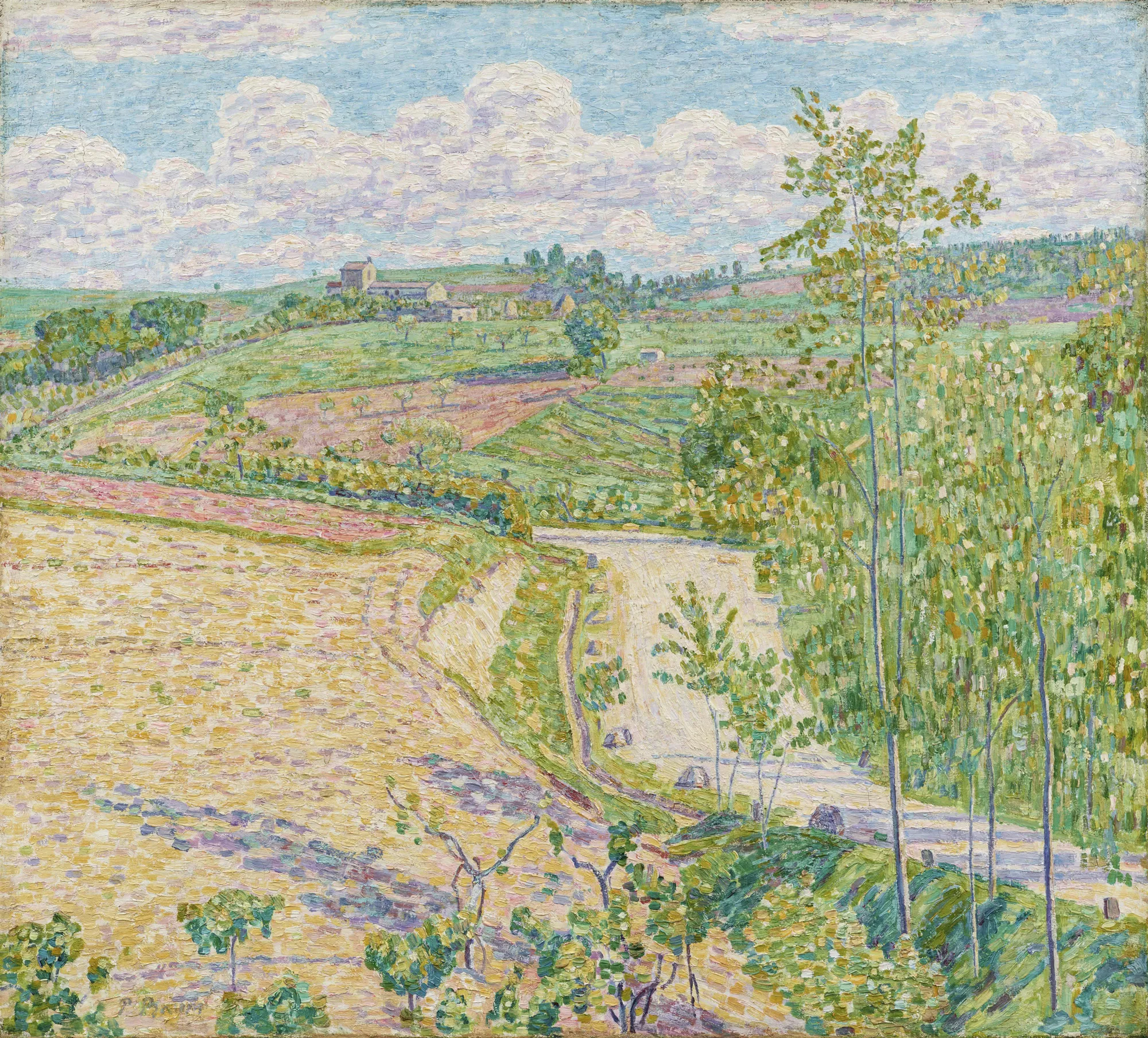 Road to a Tuscan Estate