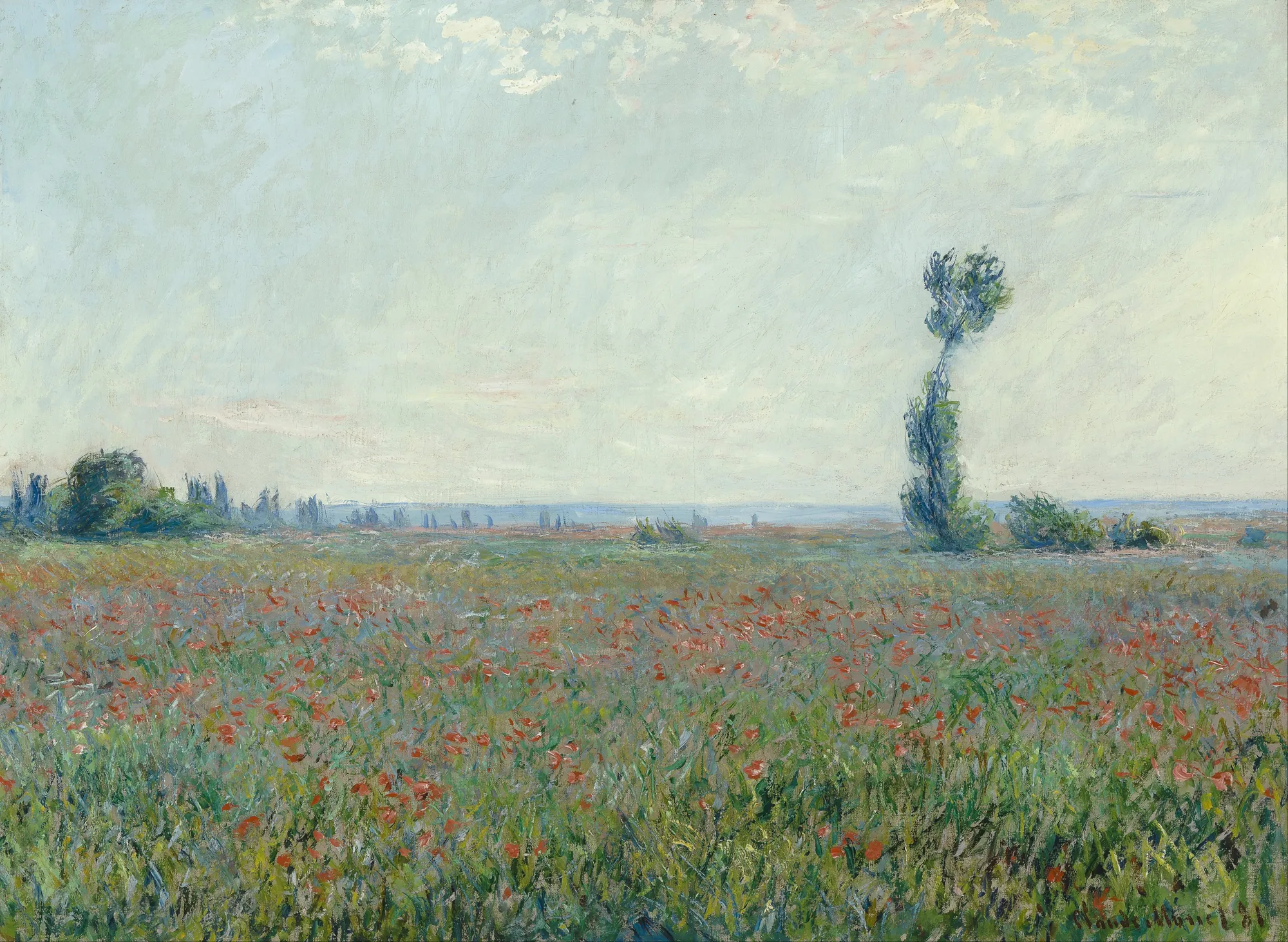 Poppy Field (Champ de coquelicots)