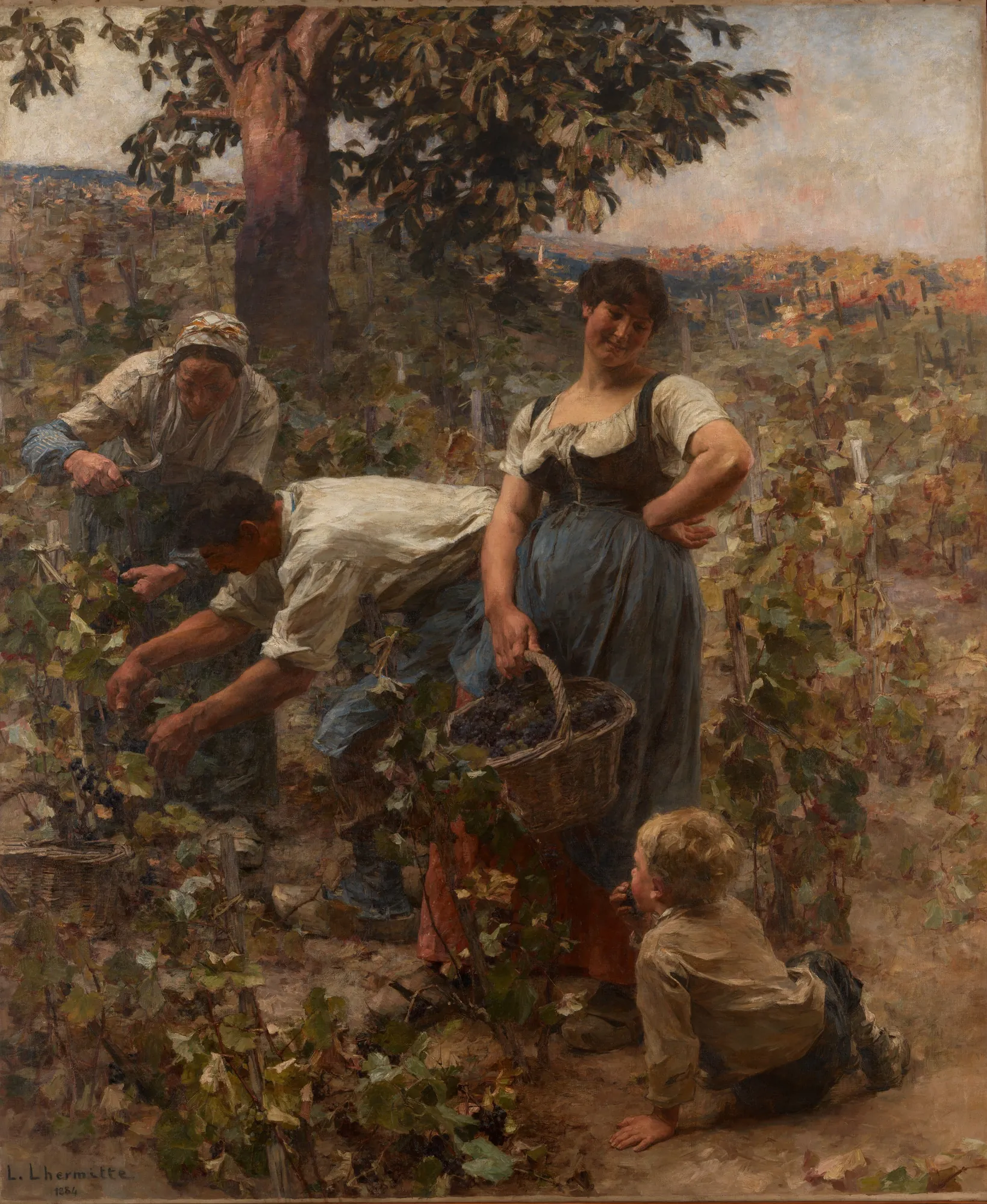 The Grape Harvest