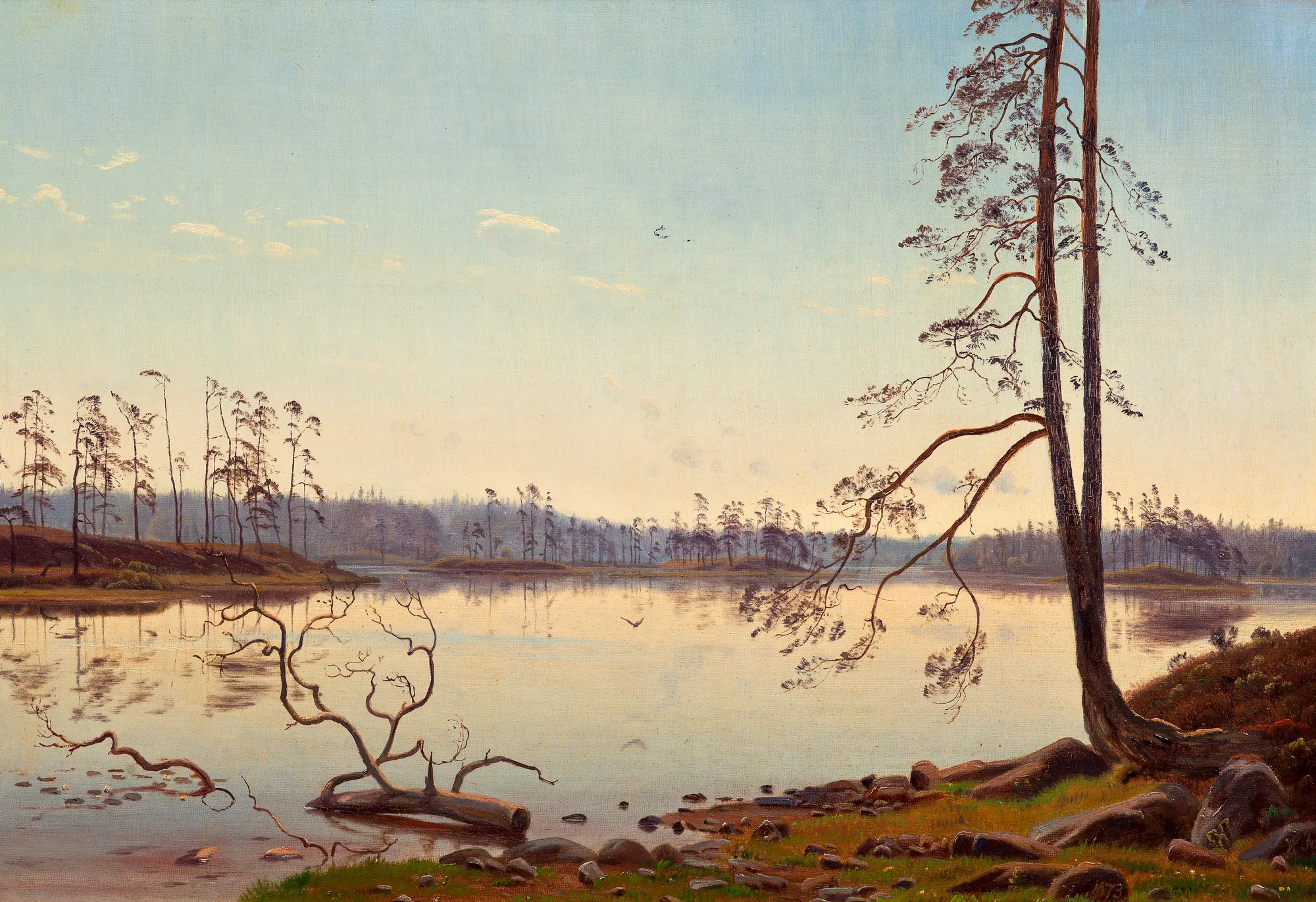 Summer Morning