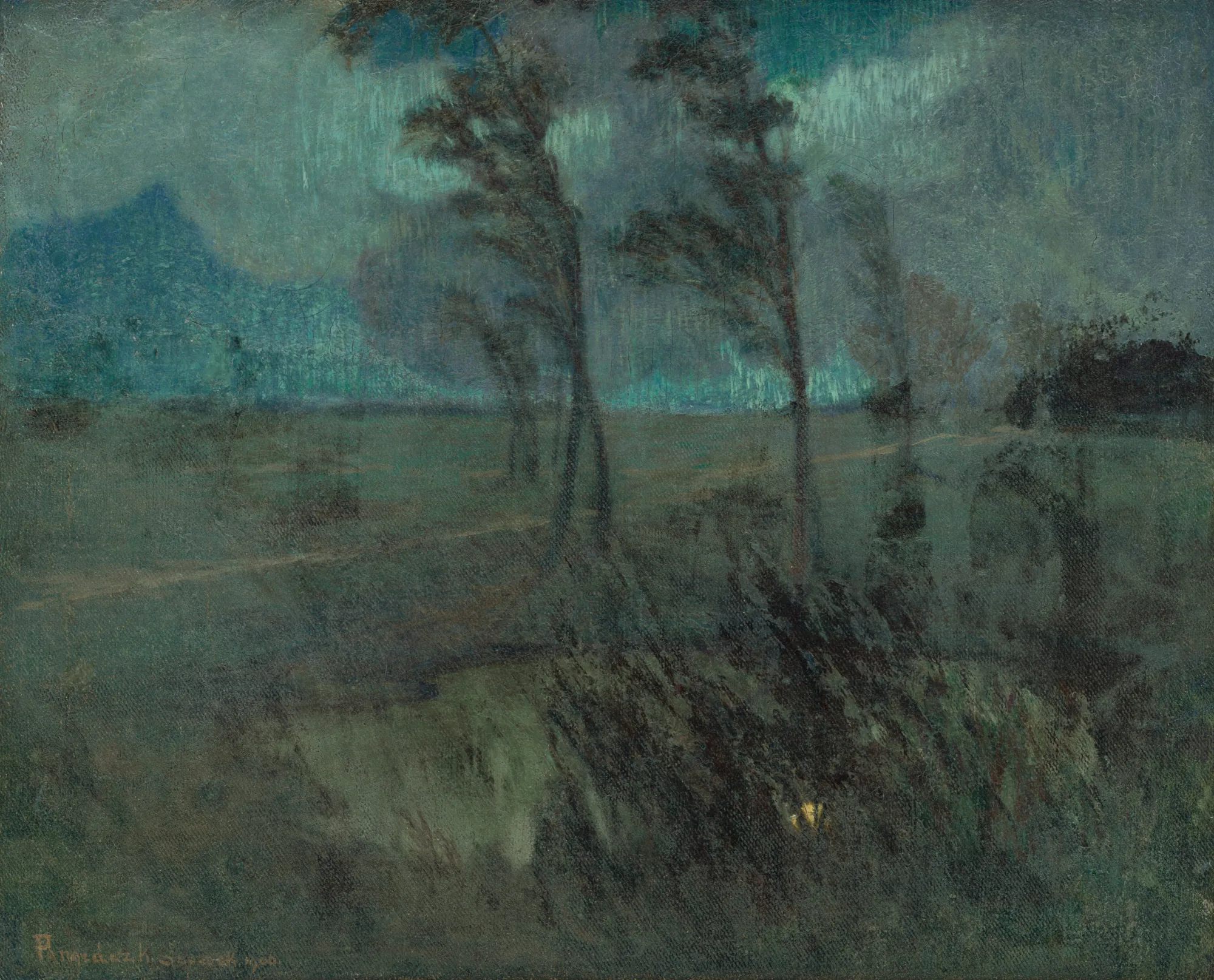 Landscape in a Storm