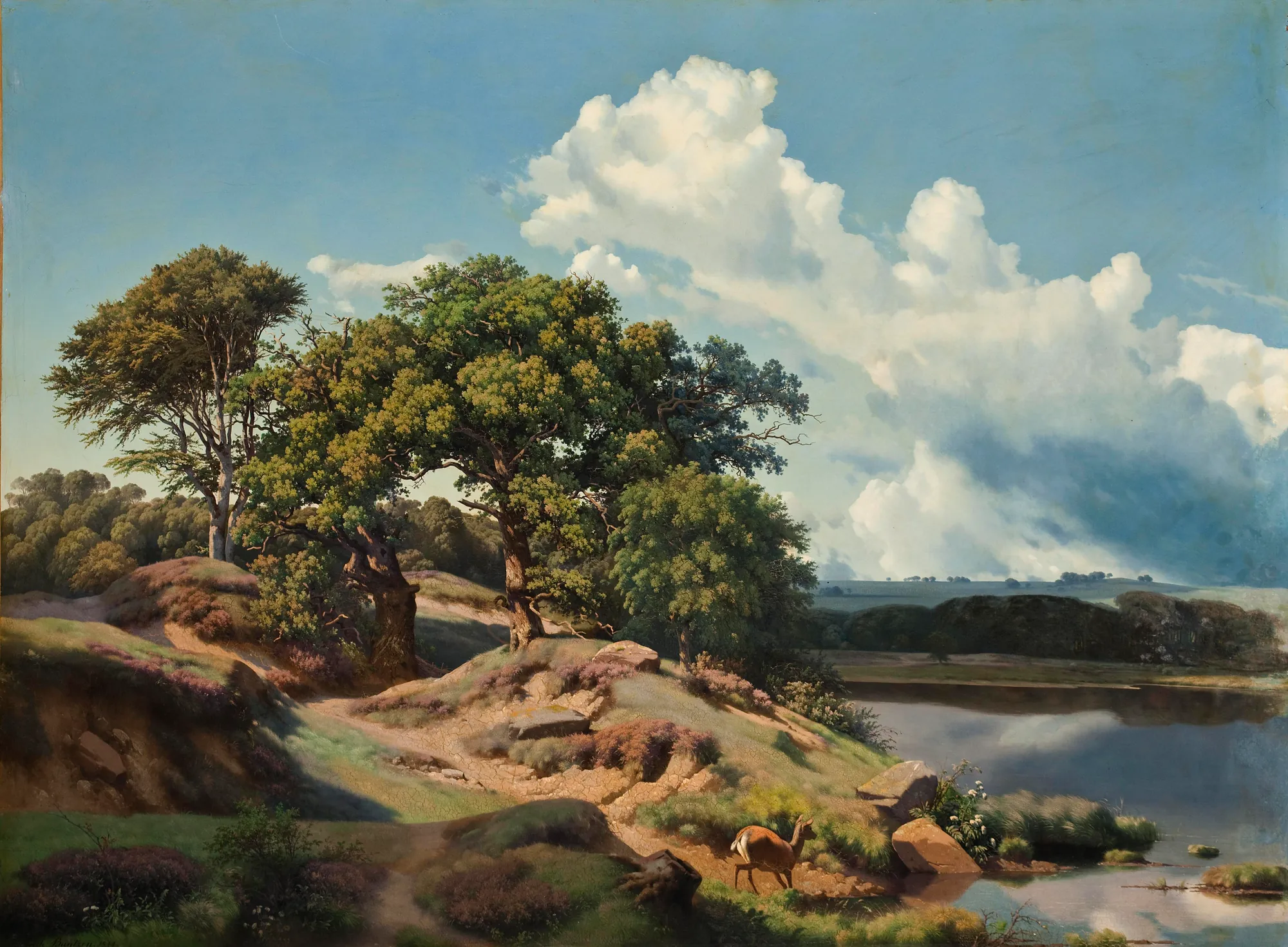 Danish Landscape