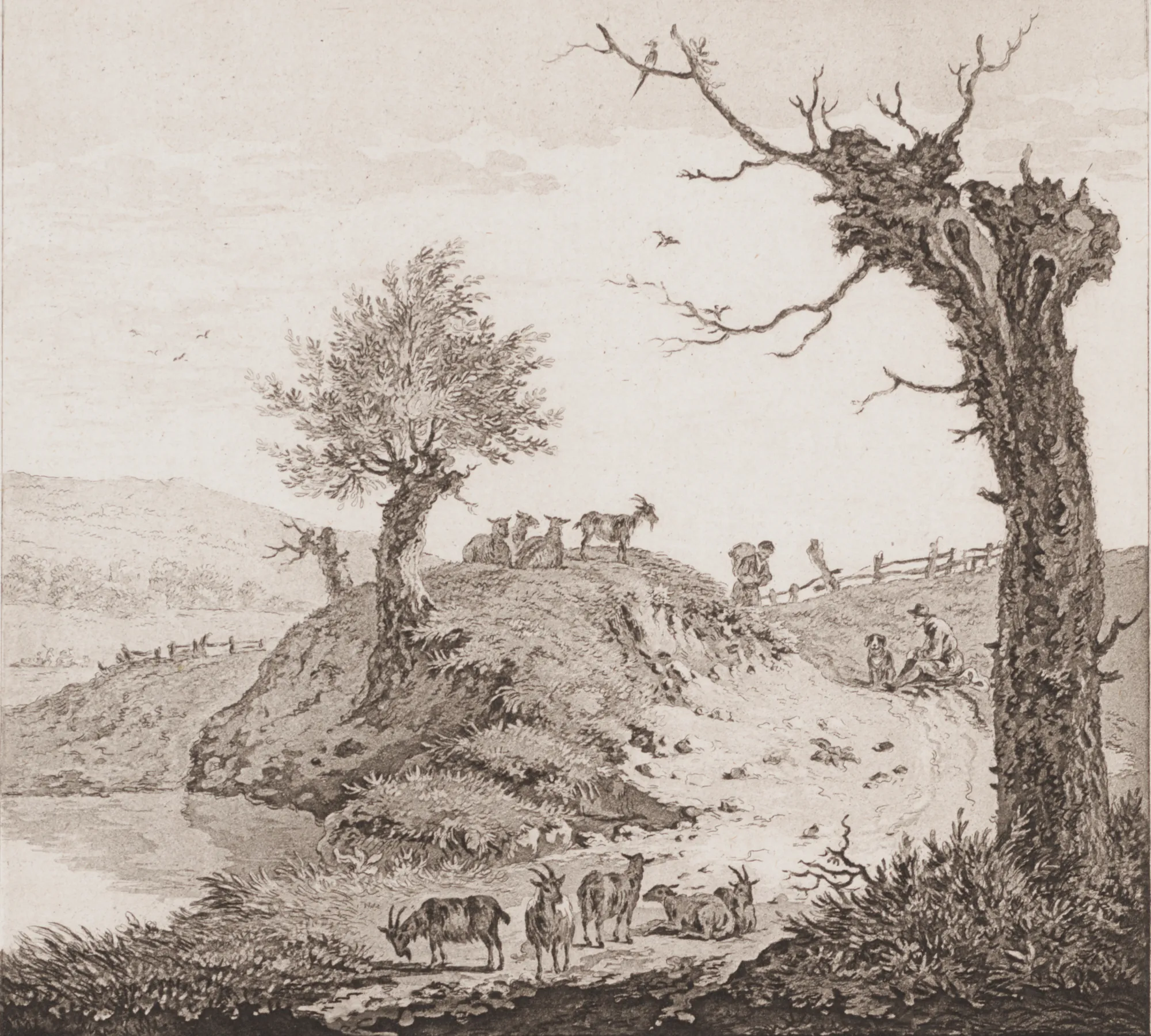 Hilly Landscape with Goats