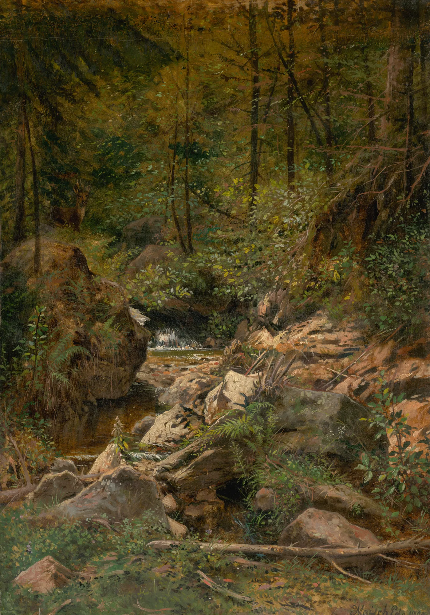 Forest Stream