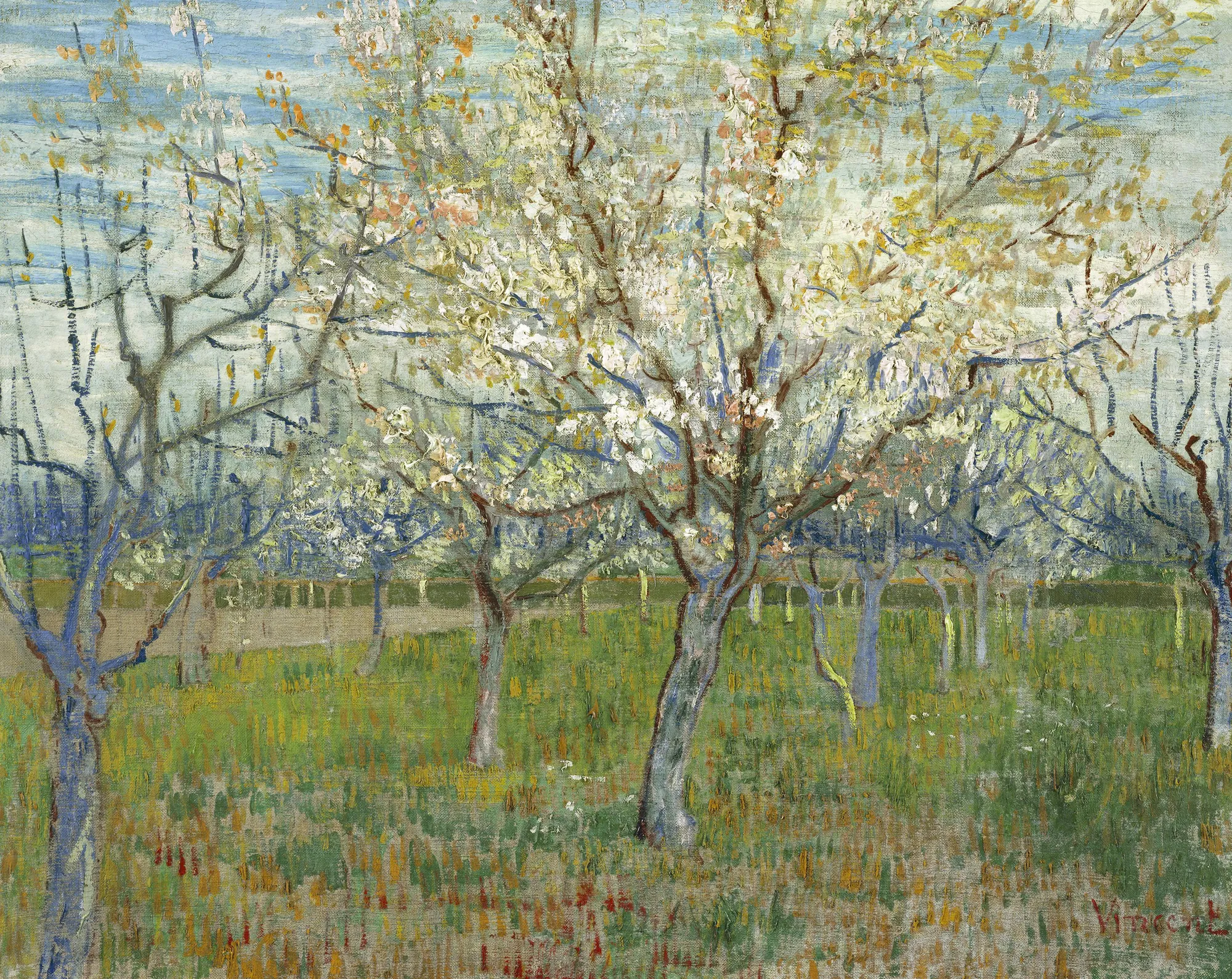 The Pink Orchard