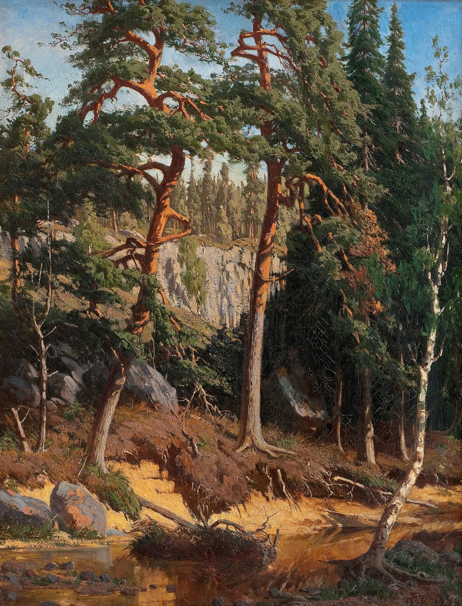In the Forest