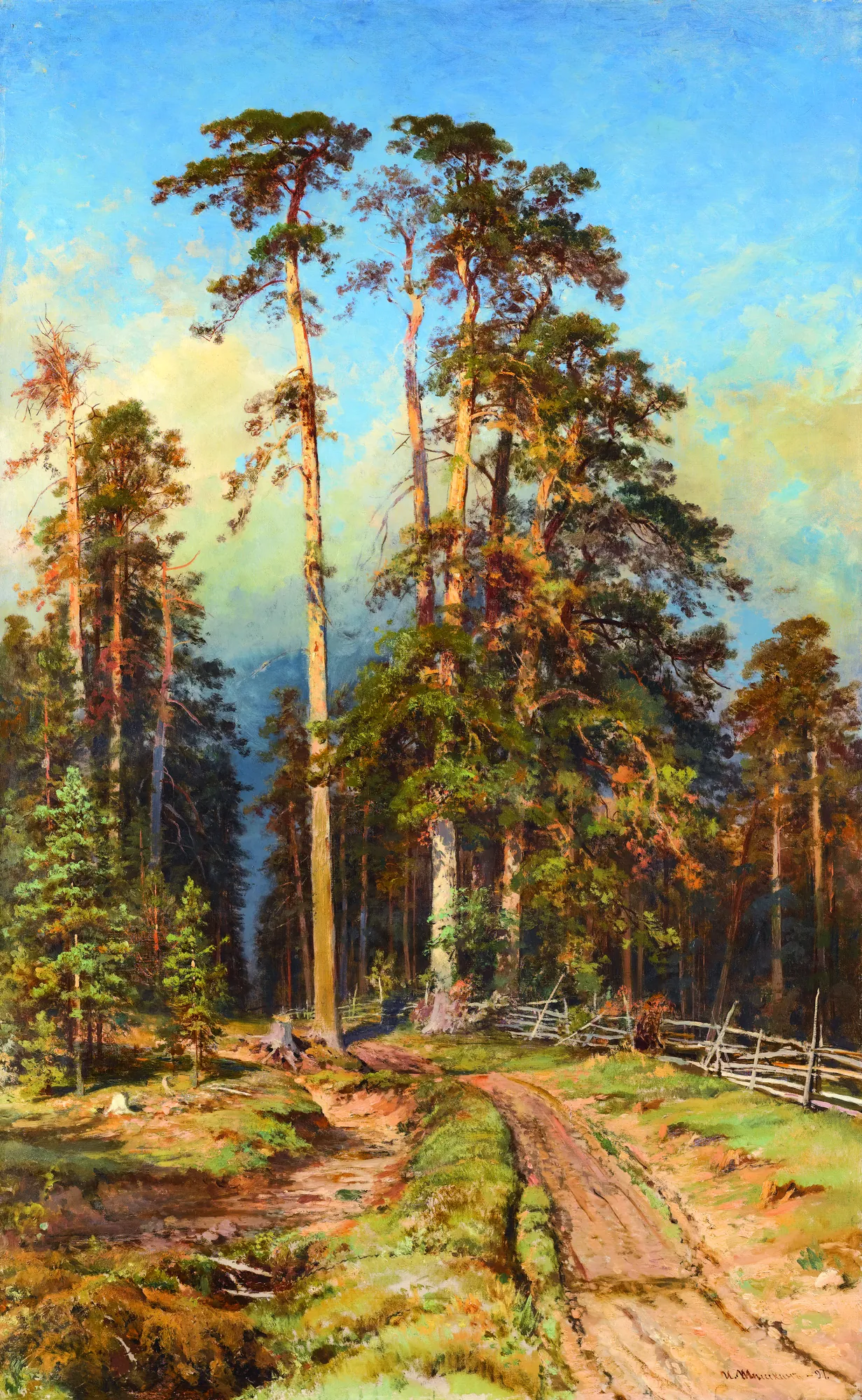 Pine Forest