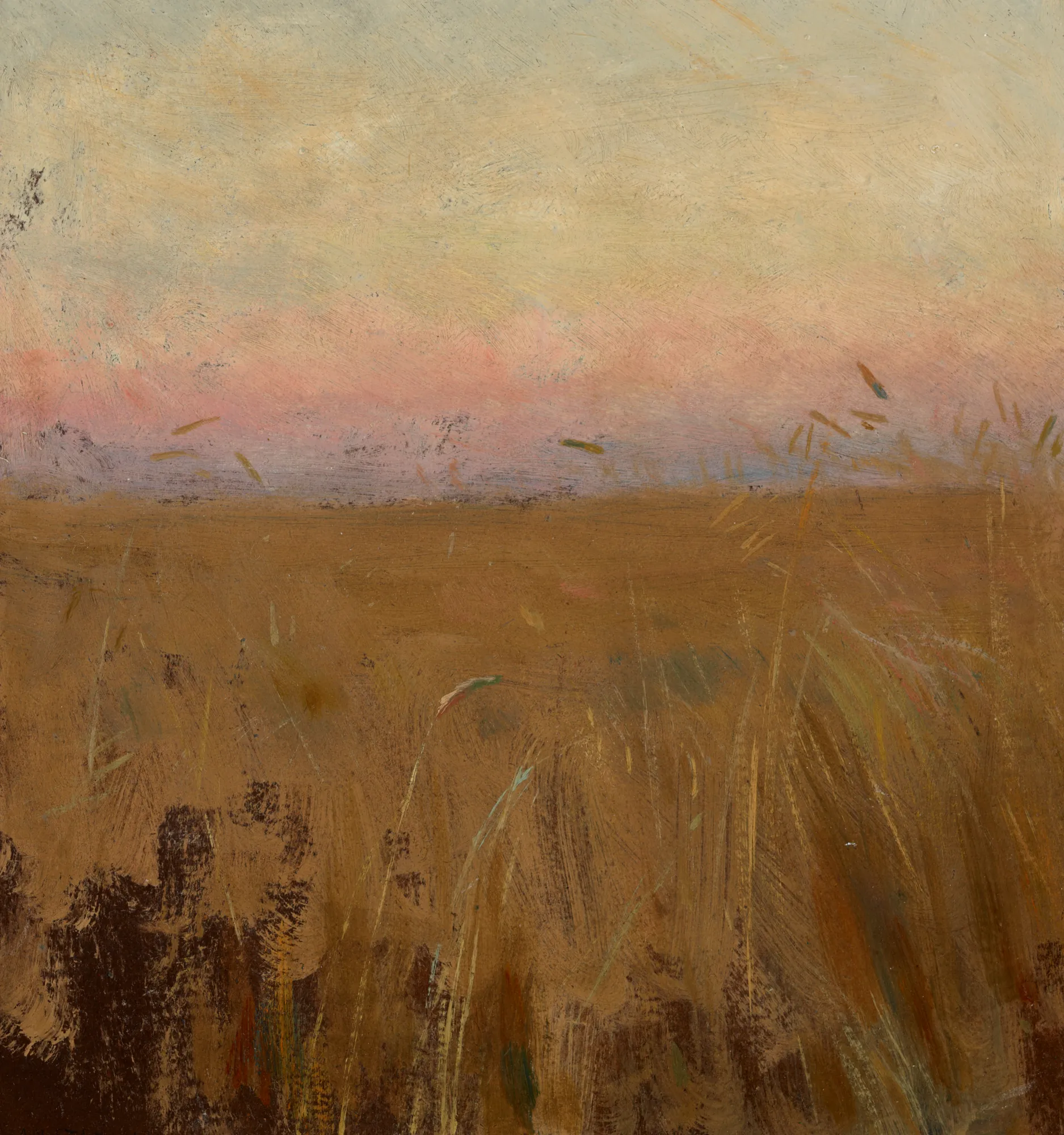 Rye