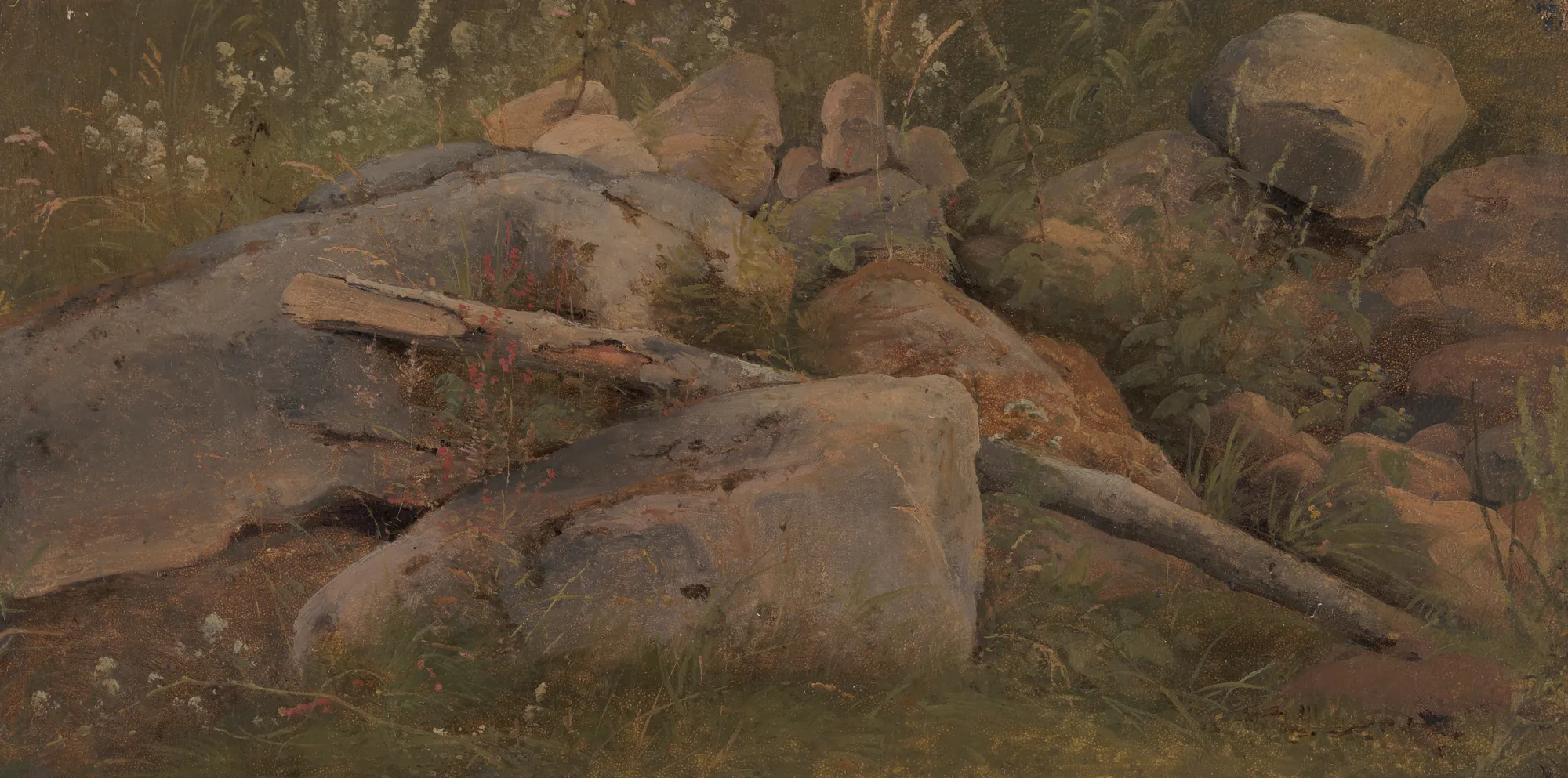Study of a Stone Heap