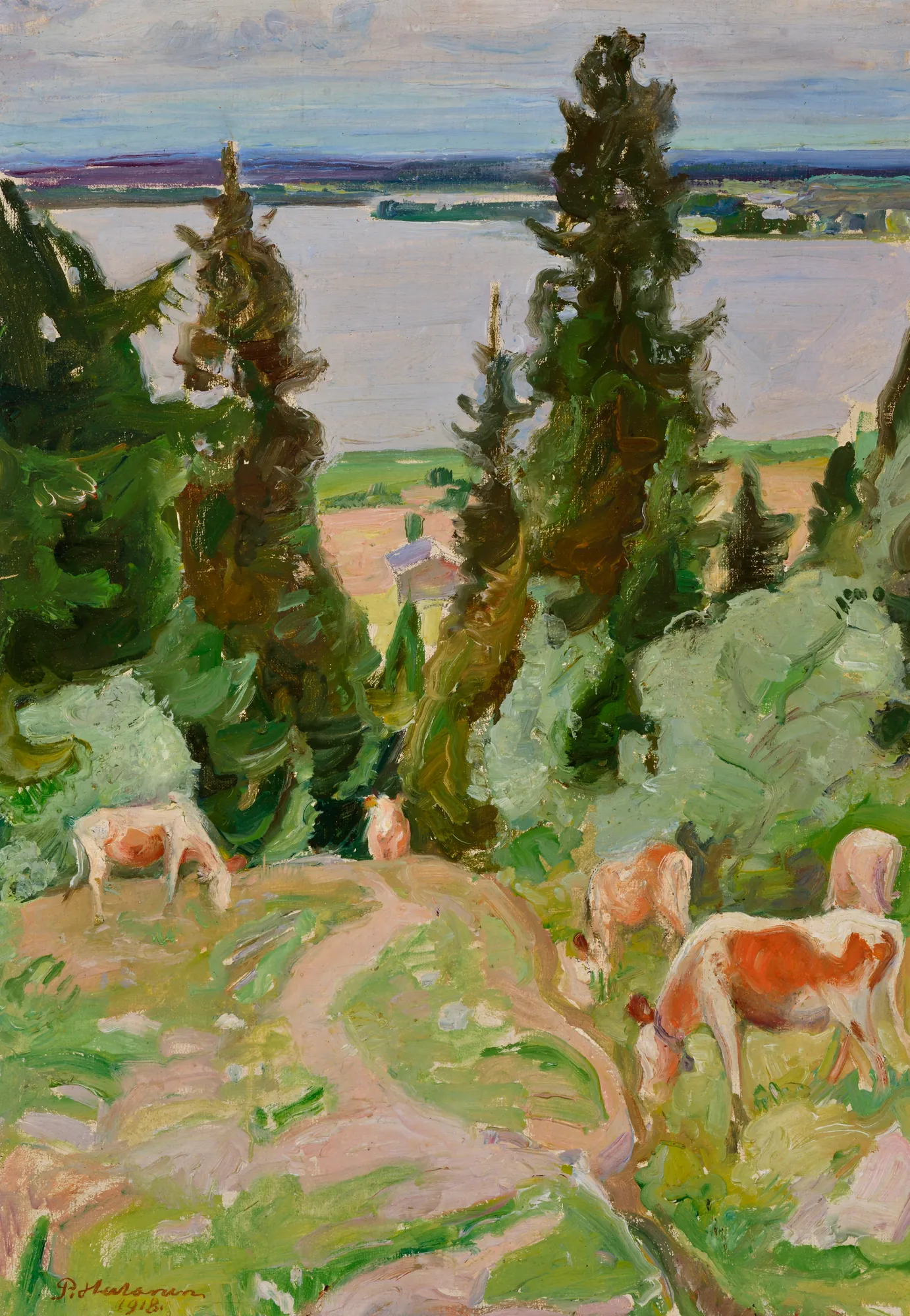 Cows in Väisälänmäki