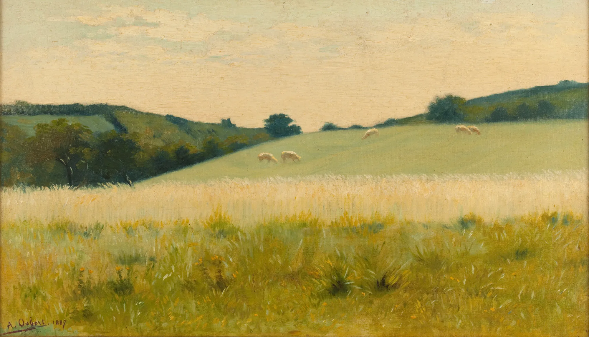 Dans les champs de Diélette
