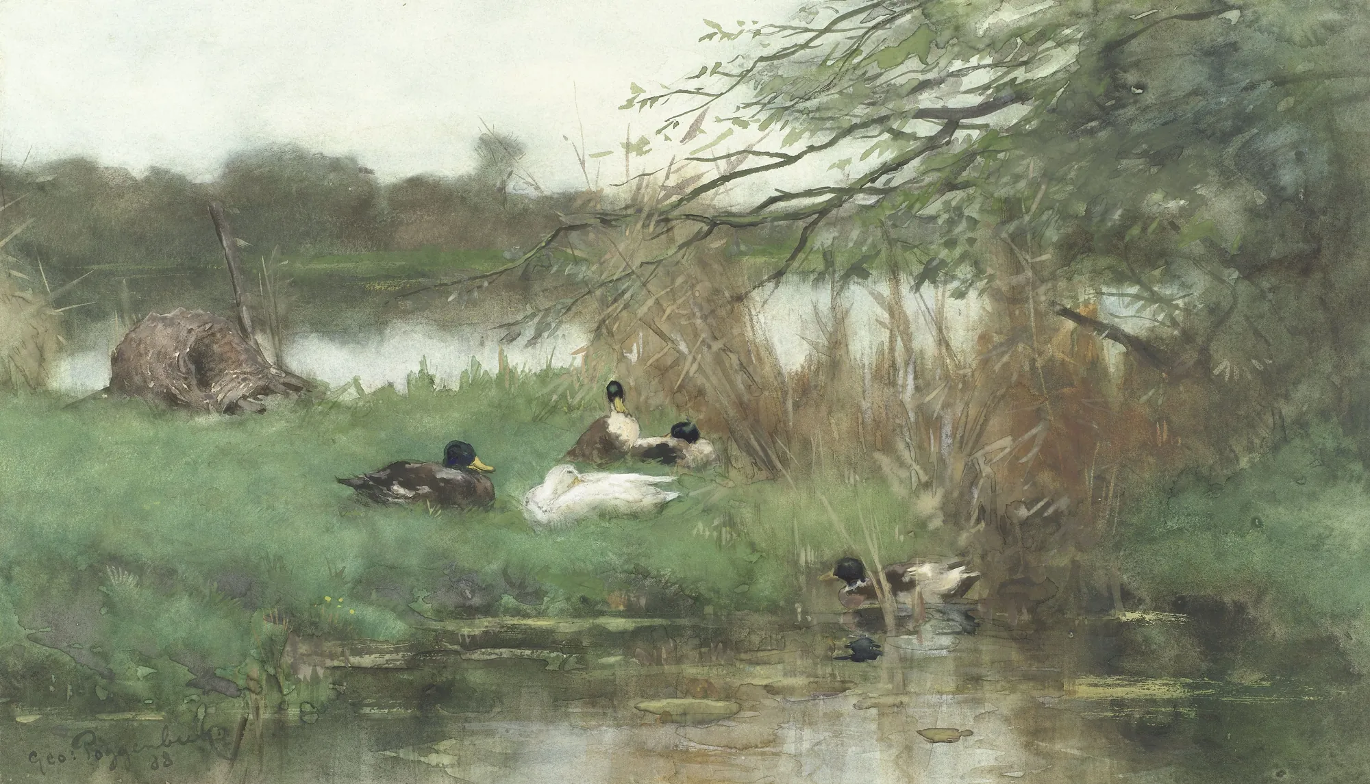 Ducks by the Water