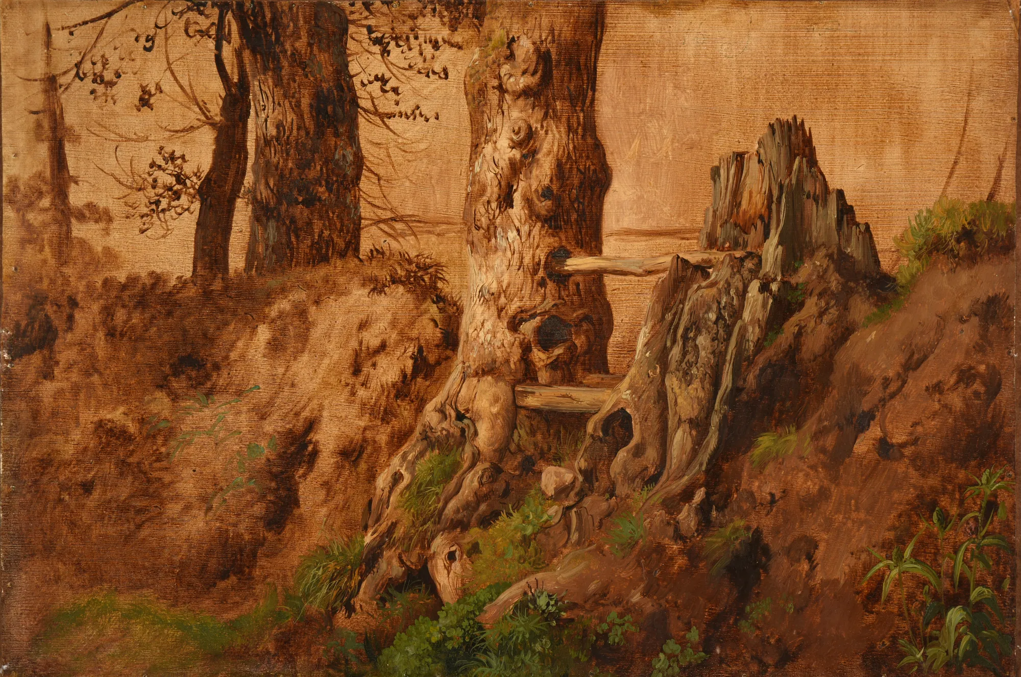 Trees and Rocks (Arbres et rochers) Trees and Rocks (Arbres et rochers) by Jacques Raymond Brascassat. A detailed oil study of weathered tree trunks and gnarled roots against a rocky embankment in warm brown tones.