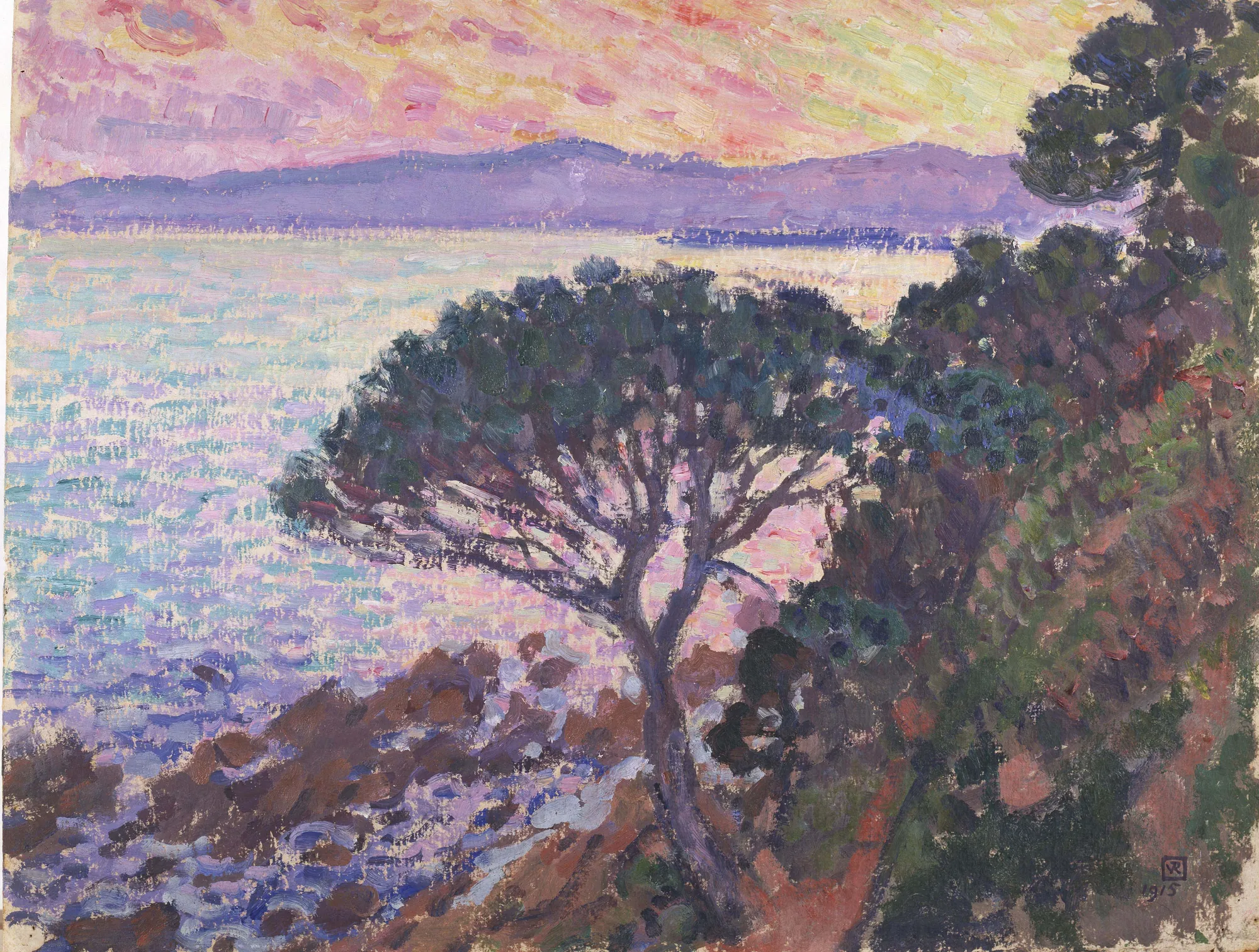Pine Tree near the Mediterranean Sea at Sunset