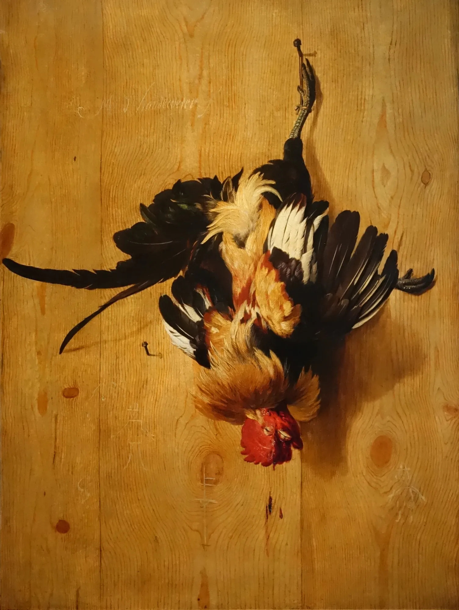Dead Rooster