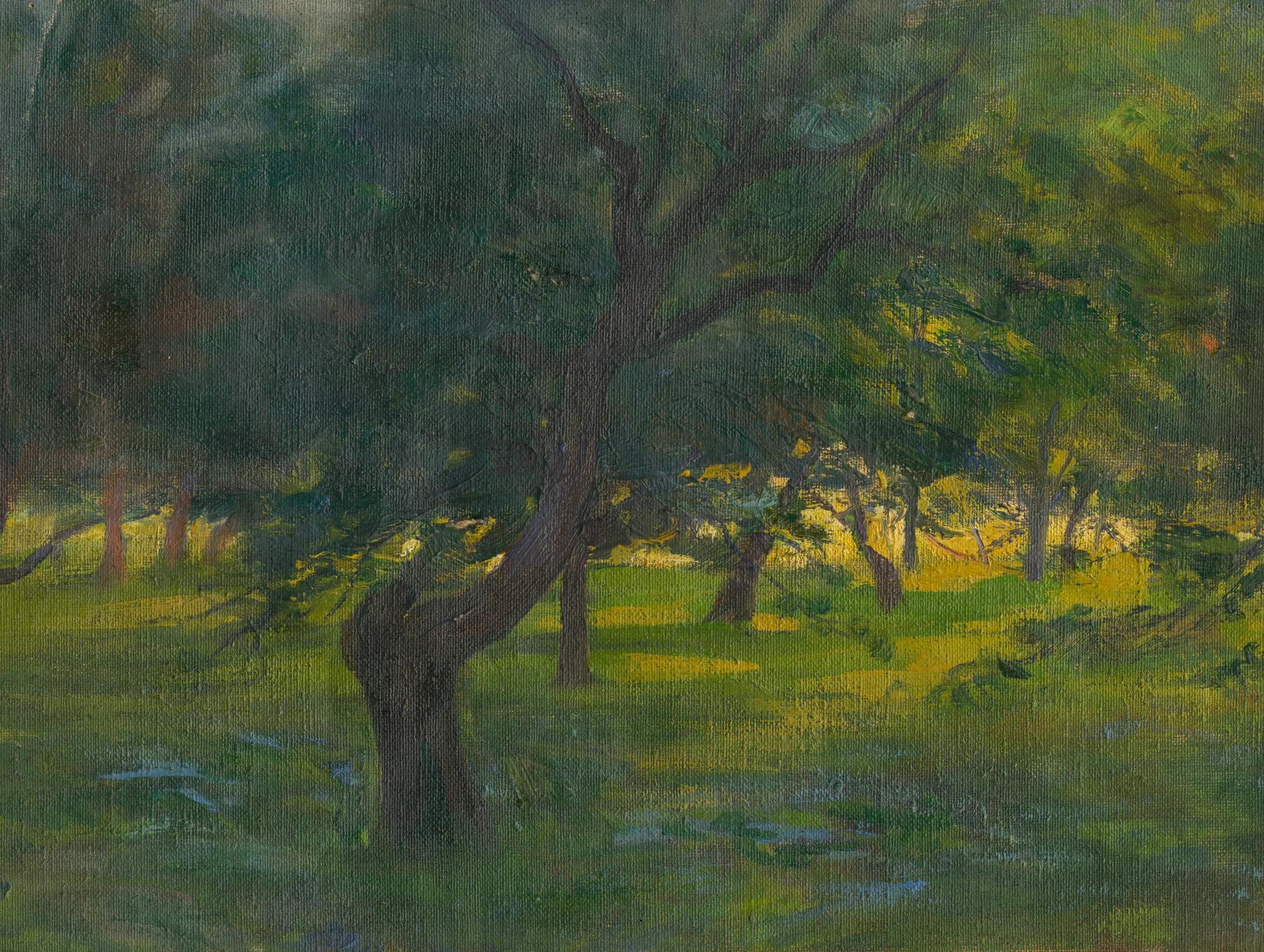 Landscape