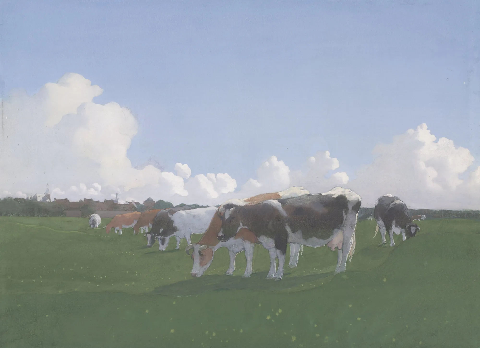 Grazing Cows in a Meadow