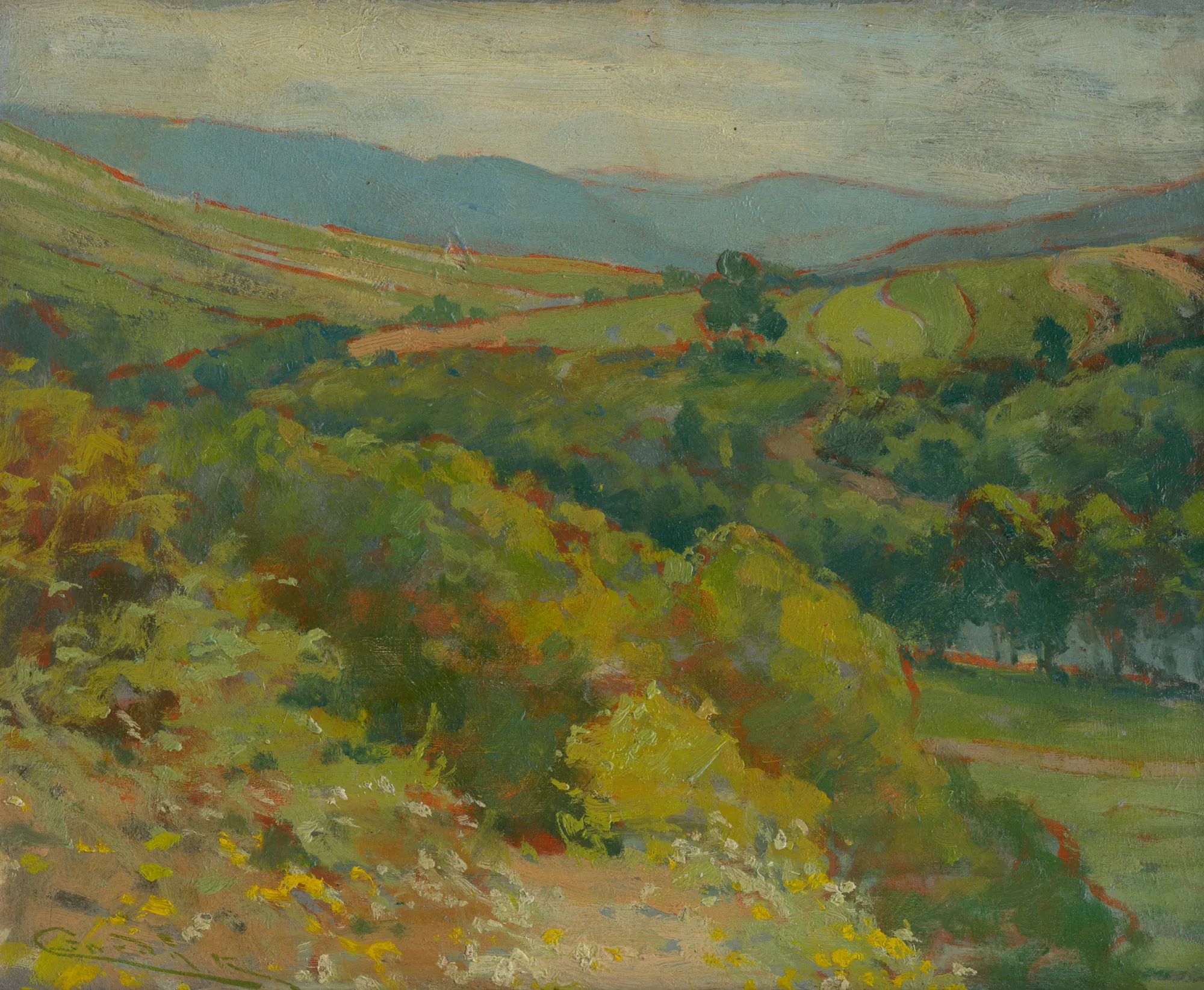 Hornád Valley near Ťahanovce