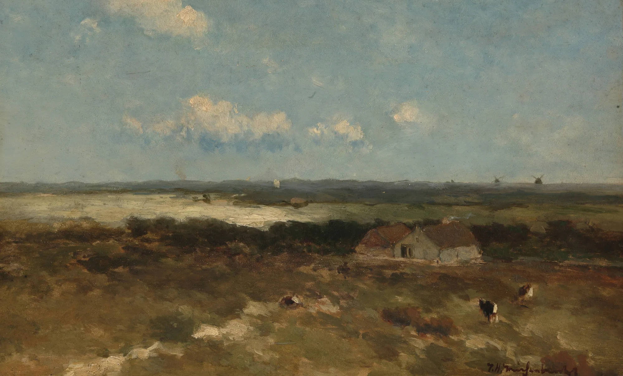 Dune Landscape