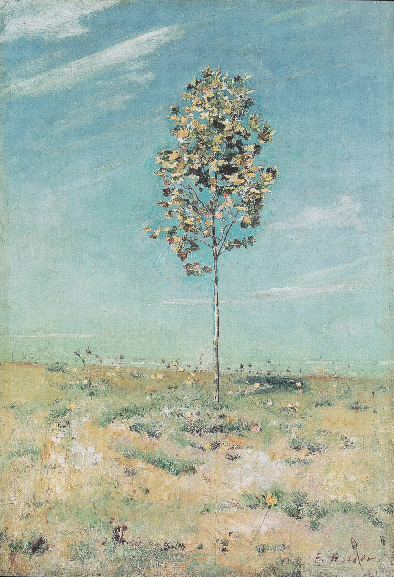 Die kleine Platane (The Little Plane Tree)