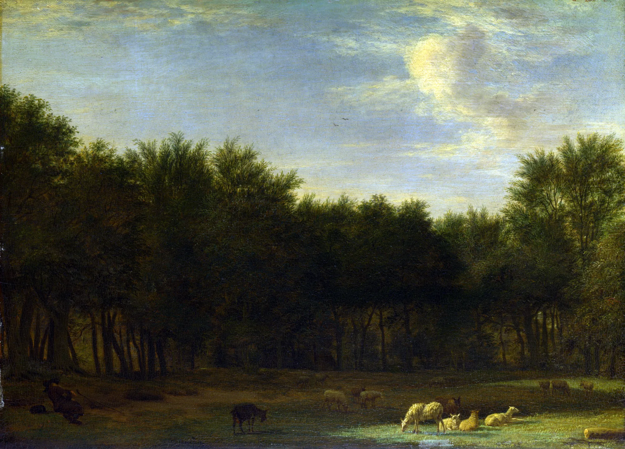 The Edge of a Wood