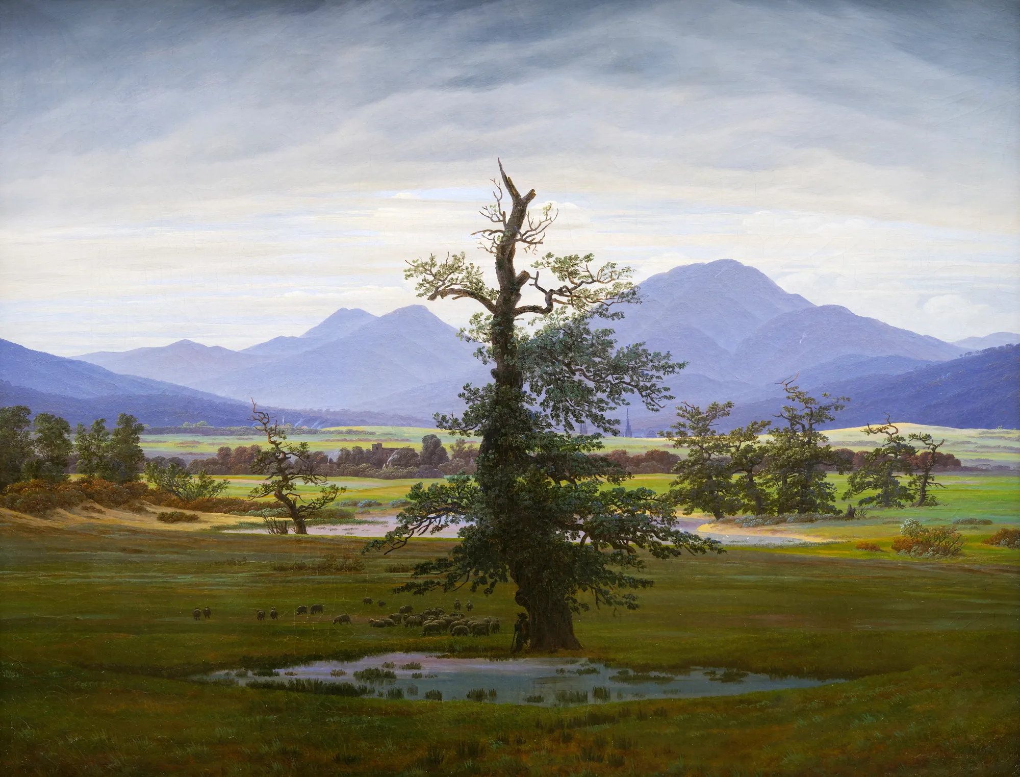 Solitary Tree