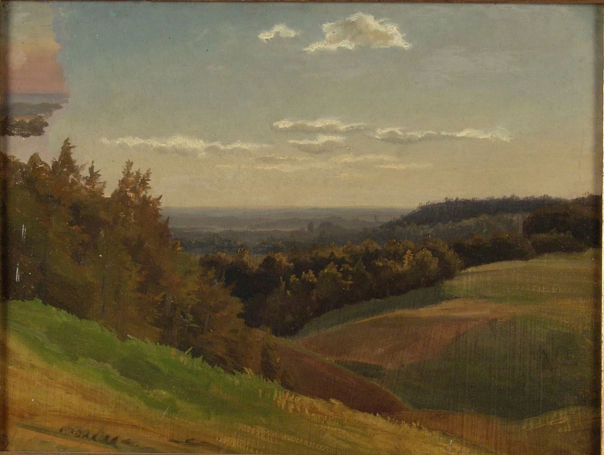 Laaja näköala (Wide View Study)