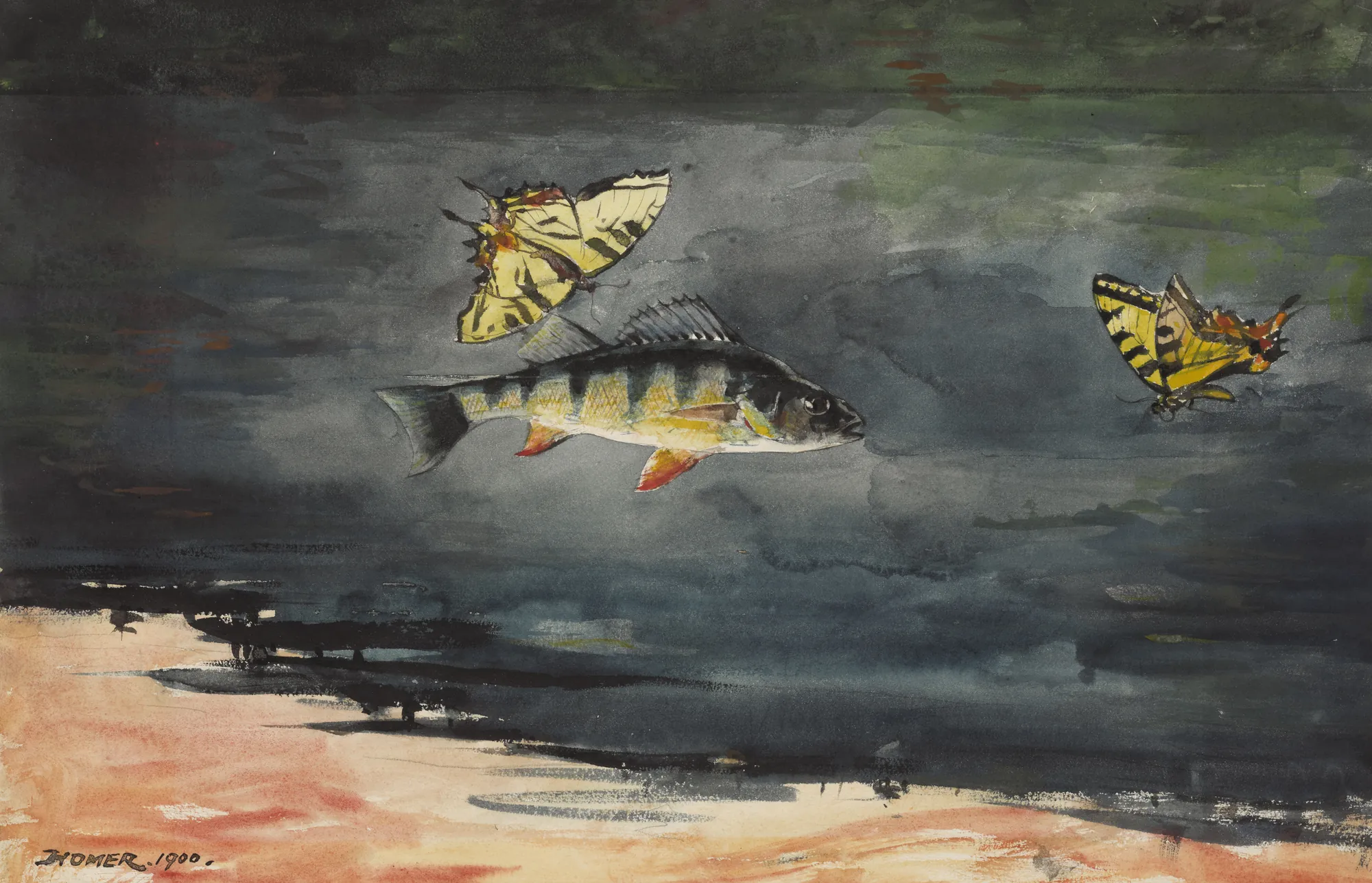 Fish and Butterflies