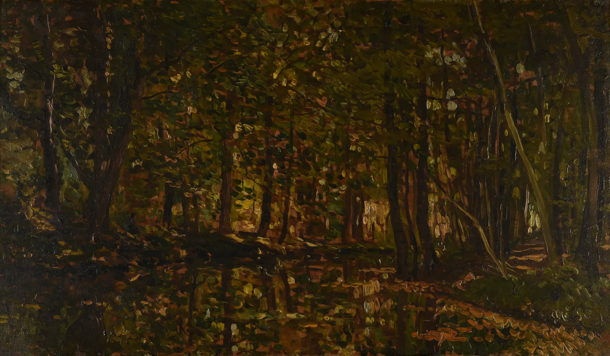 Ruisseau sous bois