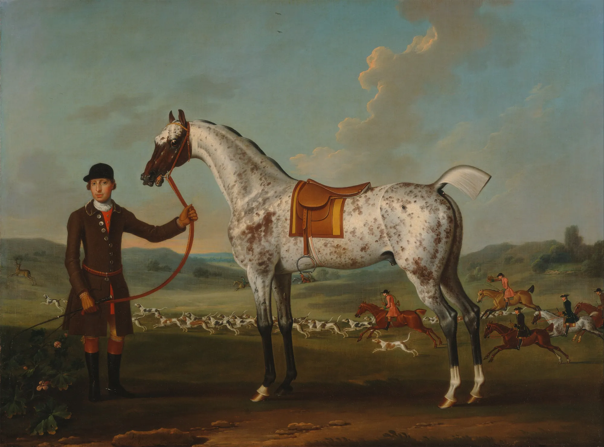 Scipio, a Spotted Hunter
