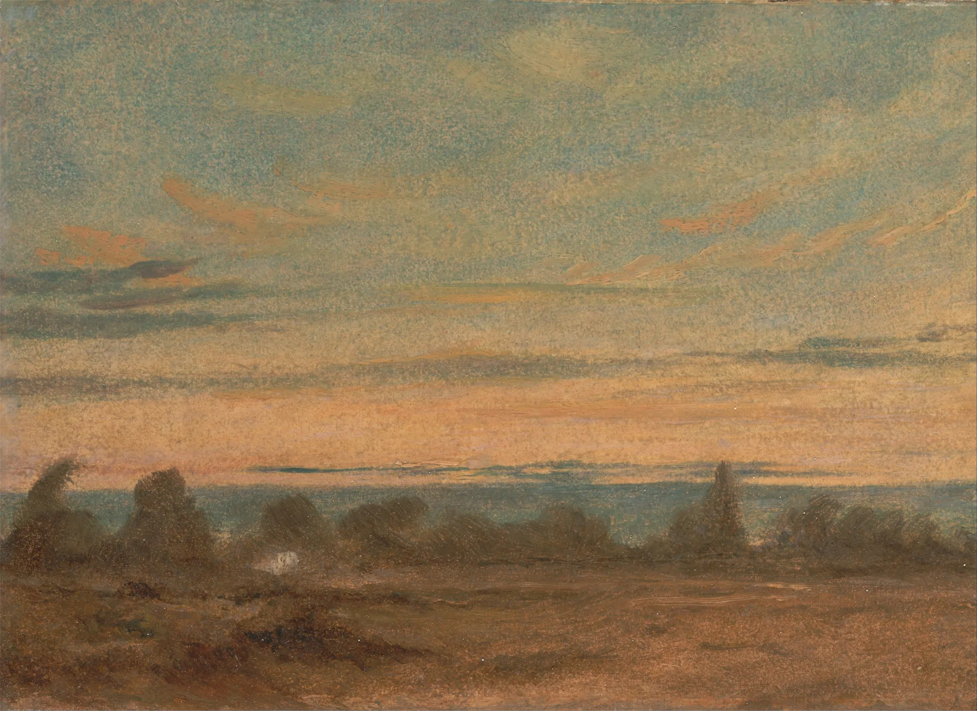Summer - Evening Landscape