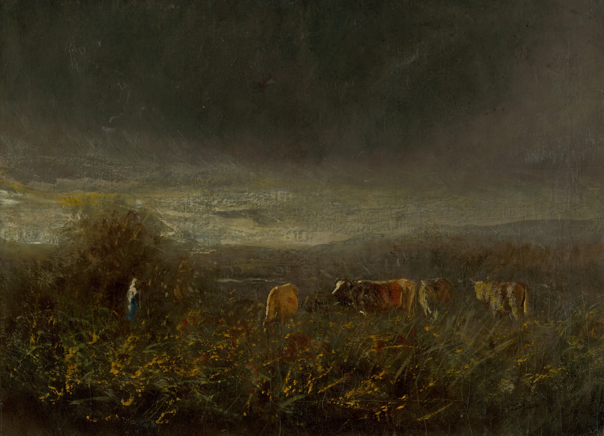 Evening at the Pasture