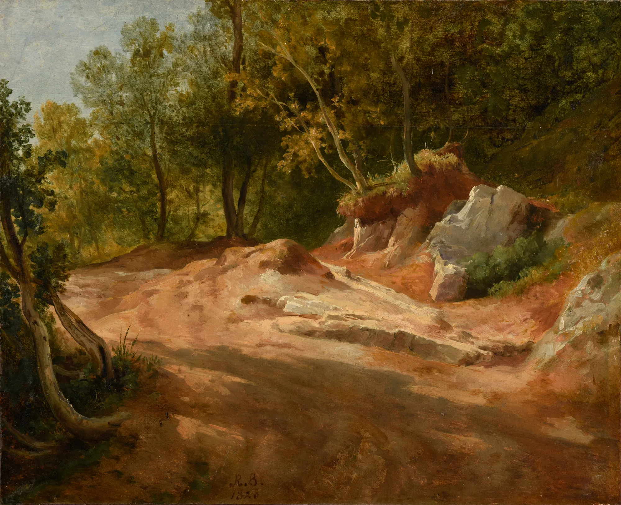 Rochers en forêt