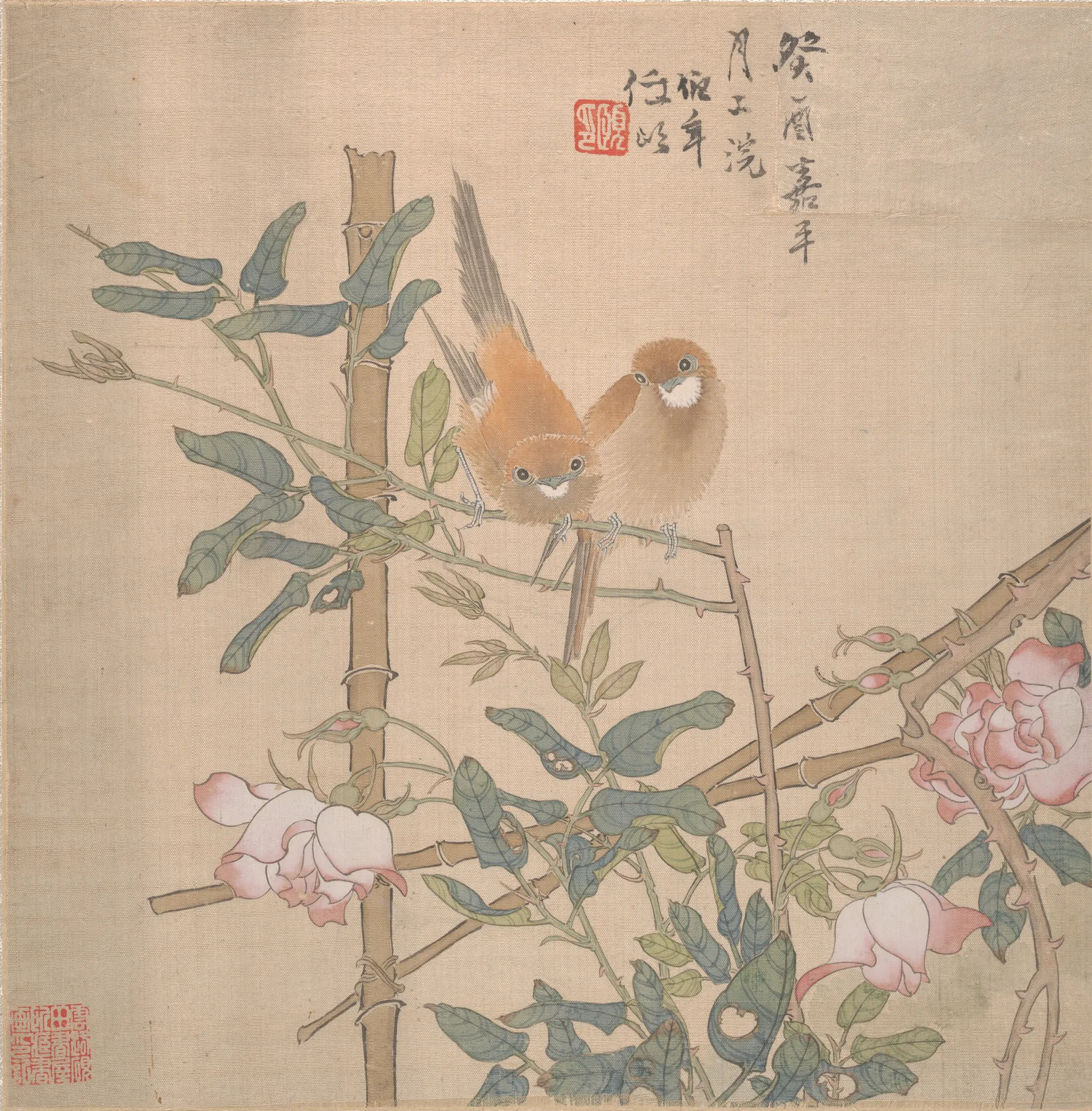 Two Birds Perched on a Flowering Rose Bush