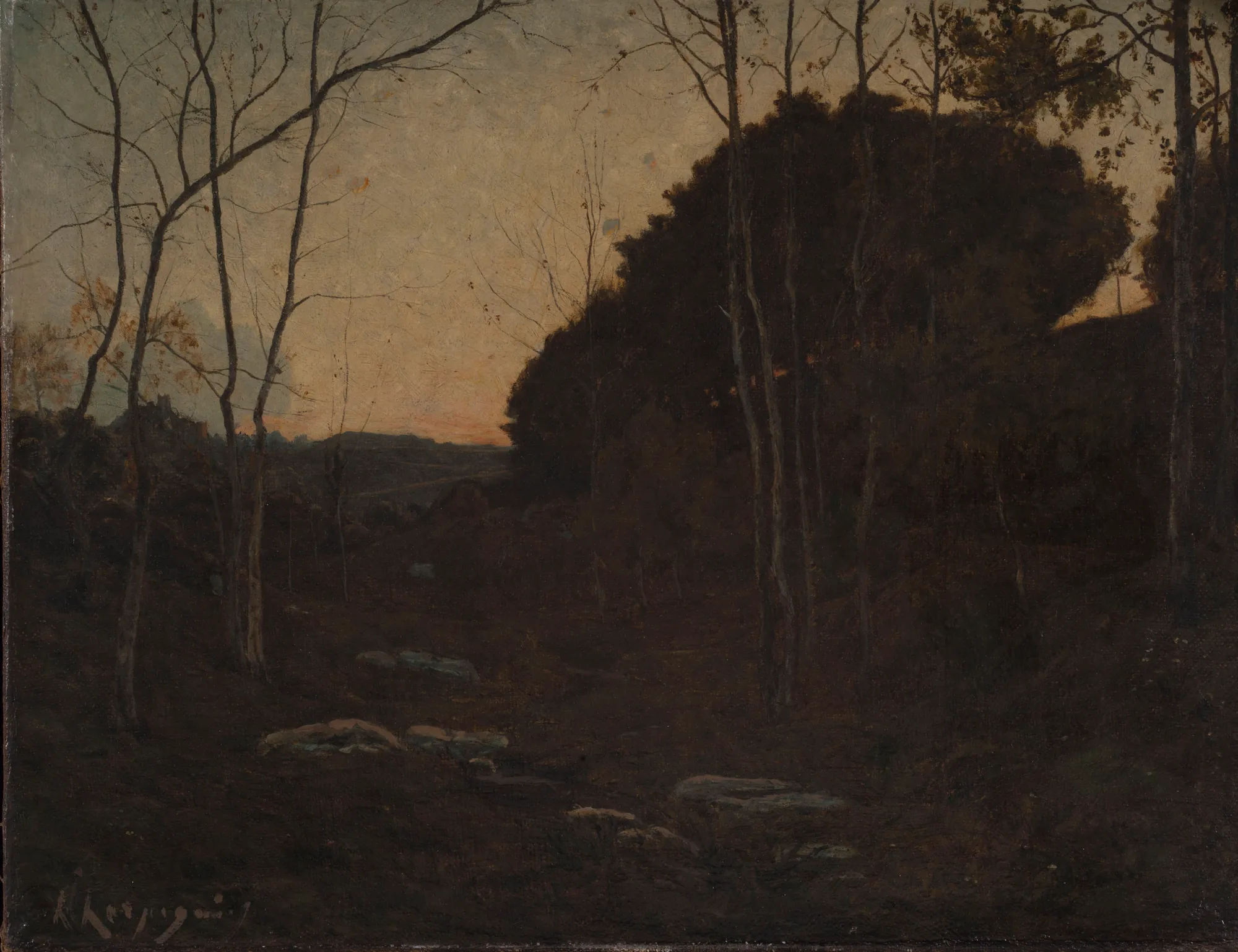 Clairière en Forêt, Fontainebleau