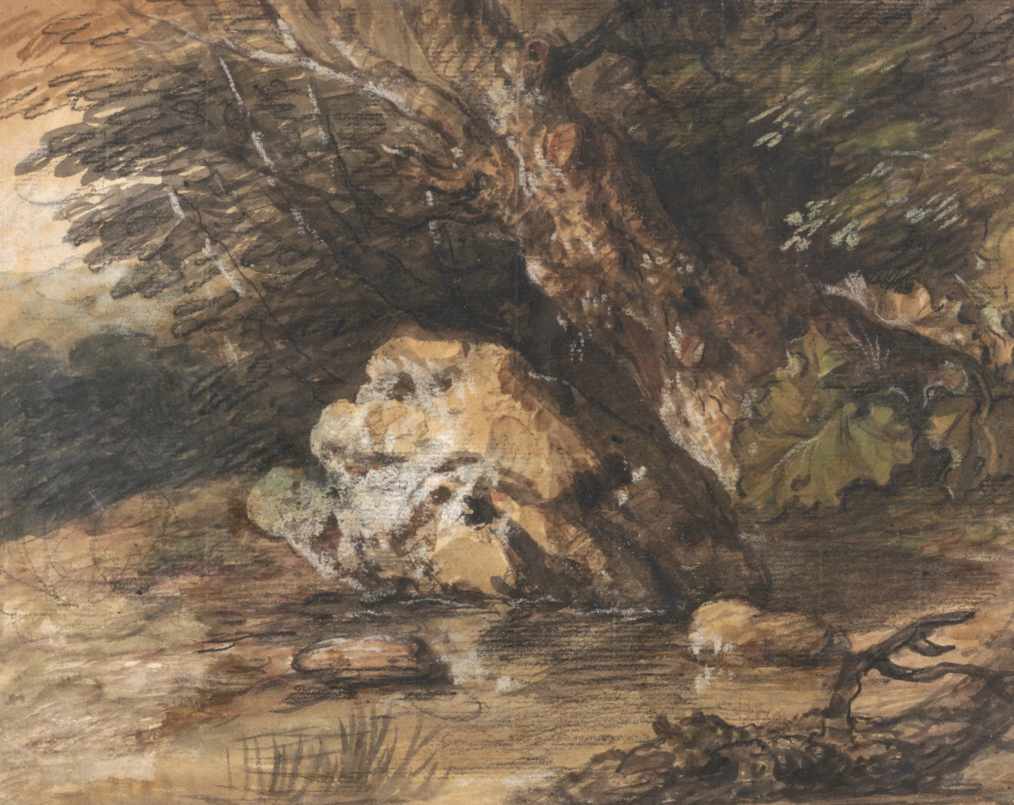 A Woodland Pool with Rocks and Plants