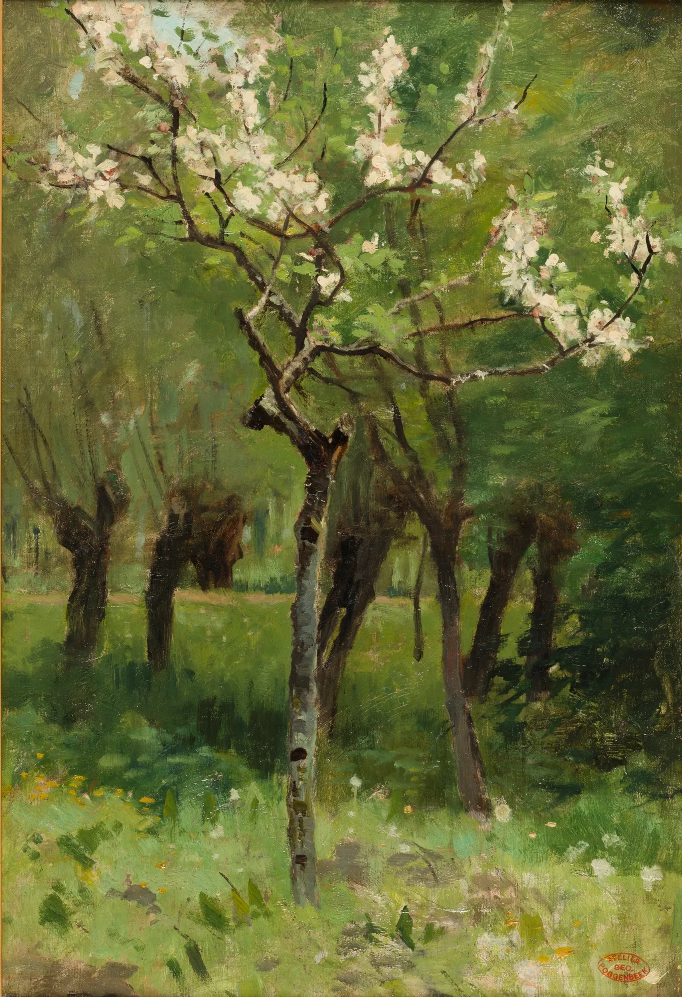 Blooming Orchard