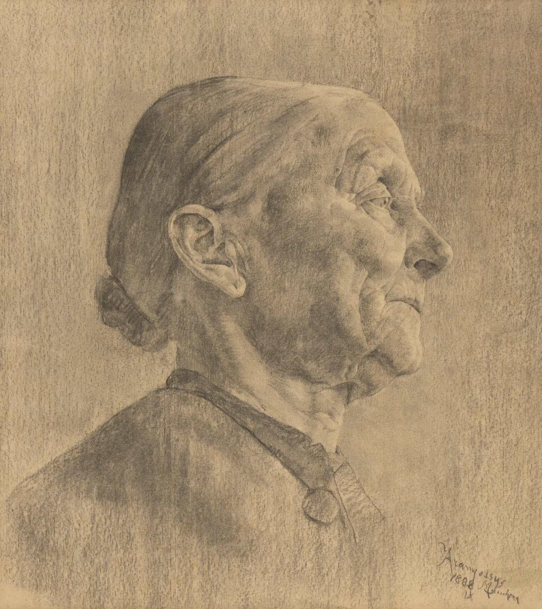 Study of an Elderly Woman's Head