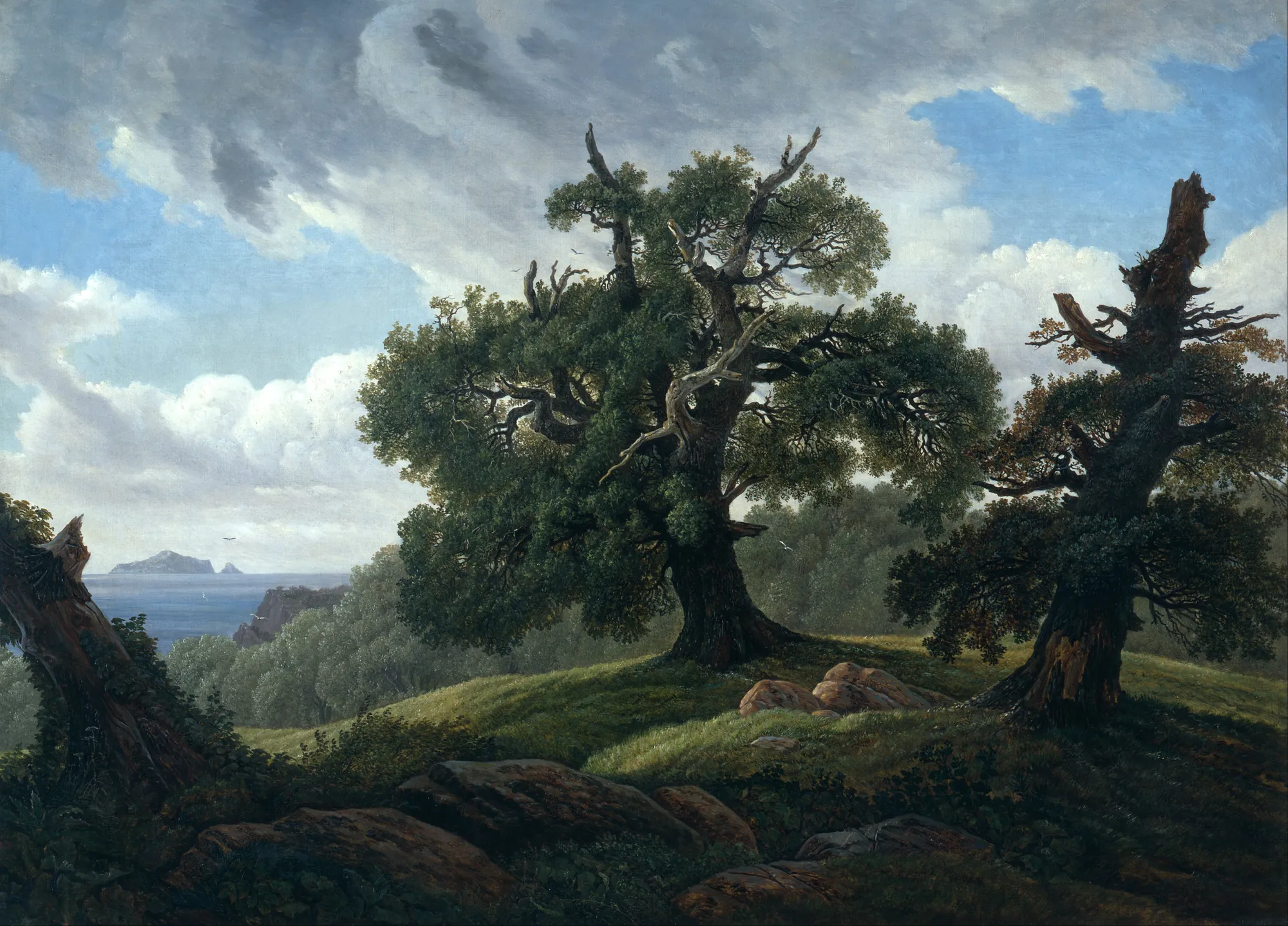 Memory of a Wooded Island in the Baltic Sea